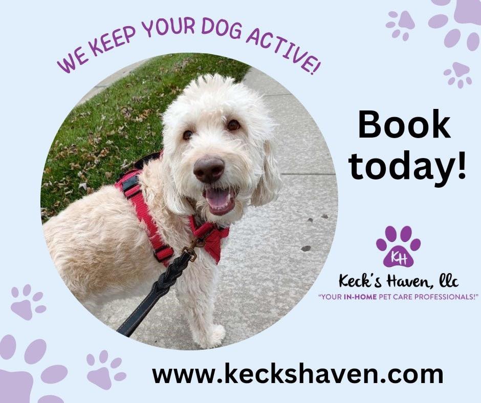 Are your kids headed back to school or you are headed back to the office? Don't forget to book your dog a walk for the days you are away!! š¦®š¾š¶
We are accepting new Dog Walking clients for the fall! šš
We are bonded and insured! CPR and First Aid certified! āļø
We have experienced dog walkers that will exercise your dog and let them enjoy their day while you are away!
www.keckshaven.com