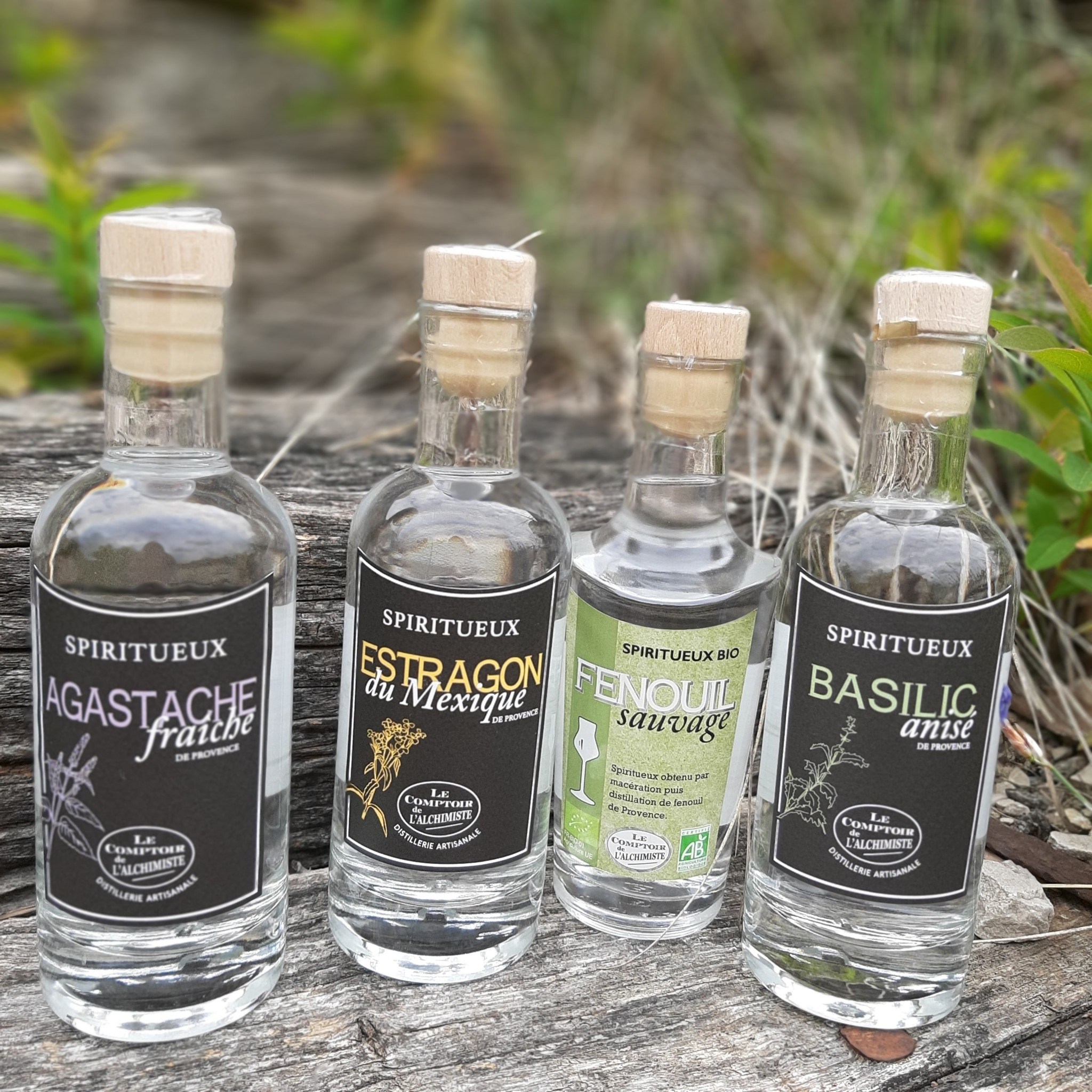 🌿✨ Le Comptoir de l'Alchimiste vous invite à découvrir une gamme d'alcools anisés d'exception ✨🌿
Nous avons le plaisir de vous offrir une expérience gustative unique avec notre collection d'alcools anisés, fruit d'un savoir-faire traditionnel et d'une passion pour les plantes aromatiques.
🎋 Fenouil Anisé : Un équilibre parfait entre la douceur subtile du fenouil et la fraîcheur de l'anis. Un véritable voyage au cœur de la nature.
🌱 Agastache Anisé : Cette plante méconnue, aux arômes délicats, dévoile une infusion légère et parfumée, qui vous transportera au cœur des jardins d'antan.
🌿 Basilic Anisé : La puissance aromatique du basilic se marie harmonieusement avec l'anis, créant une boisson pleine de caractère, à la fois ronde et parfumée.
🍃 Estragon Anisé : Un mariage étonnant entre l'estragon et l'anis, pour une explosion de saveurs, à la fois douce et légèrement épicée.
Que vous soyez amateur de distillats ou curieux de nouvelles saveurs, ces créations sont pensées pour surprendre et ravir vos papilles. À déguster seul, entre amis, ou en cocktail pour une touche originale et rafraîchissante !
Au Comptoir de l'Alchimiste, chaque gorgée est un voyage. 🌍
#LeComptoirDeLAlchimiste #AlcoolAnisé #Fenouil #Agastache #BasilicAnisé #EstragonAnisé #SaveursNaturelles #Distillation #BoissonsArtisanales #SavoirFaire