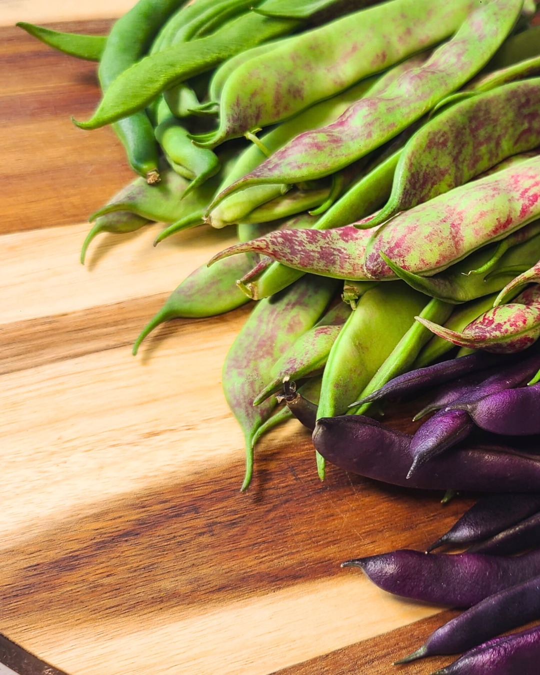 We've got beans and courgettes coming out of our ears! 😍 Not to mention a steady supply of lettuce (mainly red, to get those extra anthocyanins!!)
📸 Featured in the photo are Blauhilde (Purple), Borlotta (Red Striped), Neckaqueen, Maxi & Cobra group together at the end.
Blackberries are here 🤩
The tomatoes and chillies are starting to ripen 😍💖
Cucumbers on there way too!
Sweetcorn badger defense is complete 🌽💪
I've affectionately nicked named it Frankenfortress, as it has been cobbled together from different sized pallets and strips of wood 😅
But if it does the job, my neighbour lost a few sweetcorn plants to them, so it needed to go up FAST! Hopefully it does the job!! 🙏
I hope you are all having lots of success with your plots and patches 🌱
#growyourown #allotmentprogress #organicvegetables #growyourownveggies #allotmentsofinstagram #allotmentuk #allotmentlove #badgers