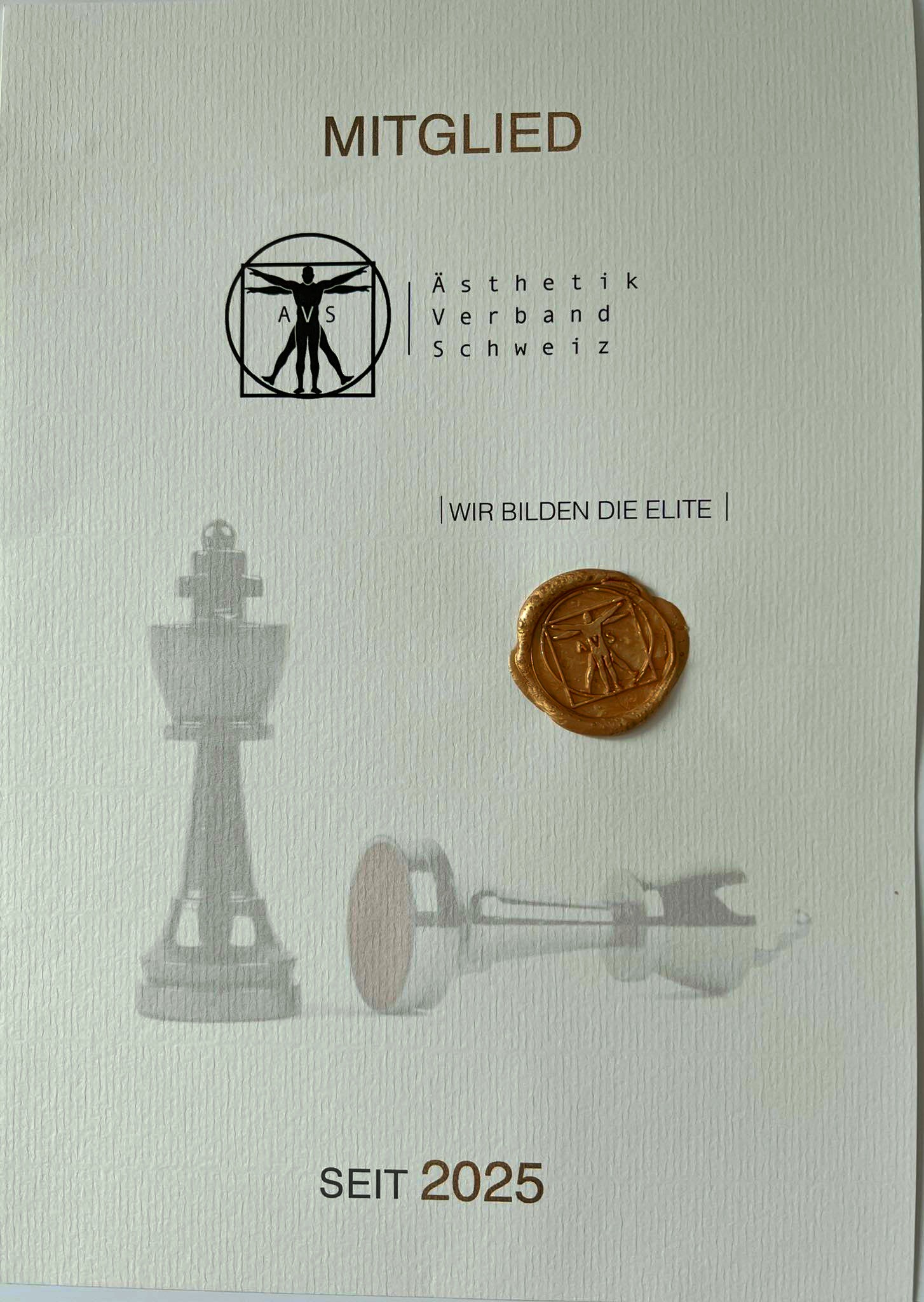 Unser Studio ist zertifiziert im Ästhetischen Verband in der Schweiz