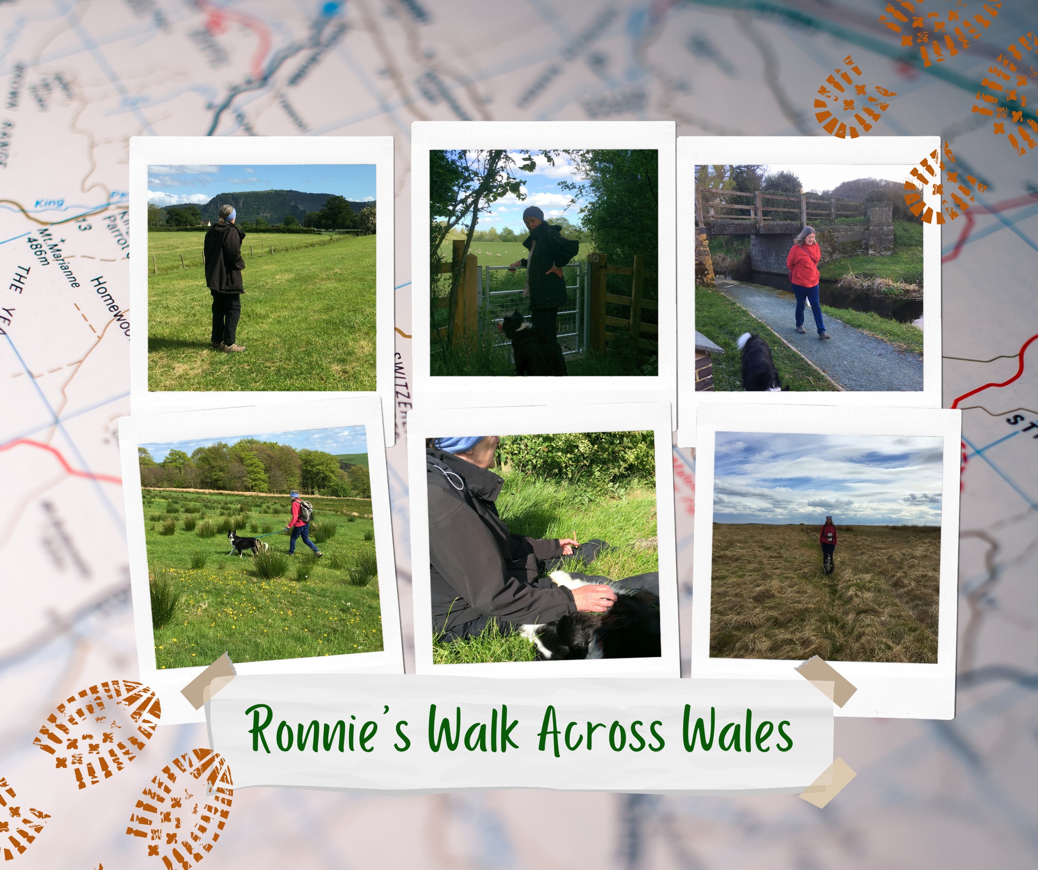 After the sudden loss of her beloved husband Chris in 2015, Ronnie found herself at a crossroads, grief weighed heavily yet a spark of determination flickered beneath. With her daughter living in Tywyn, Ronnie decided to do something extraordinary and endeavoured to walk from her home in Llanymynech to the Welsh coast, one step at a time. Read More...www.ronniesramblings.co.uk/post/ronnies-walk-across-wales
#RonnieWalksWales #LoveAndLossAndLaughter #WalkingWales #ronniesramblings #ronniesgifttous