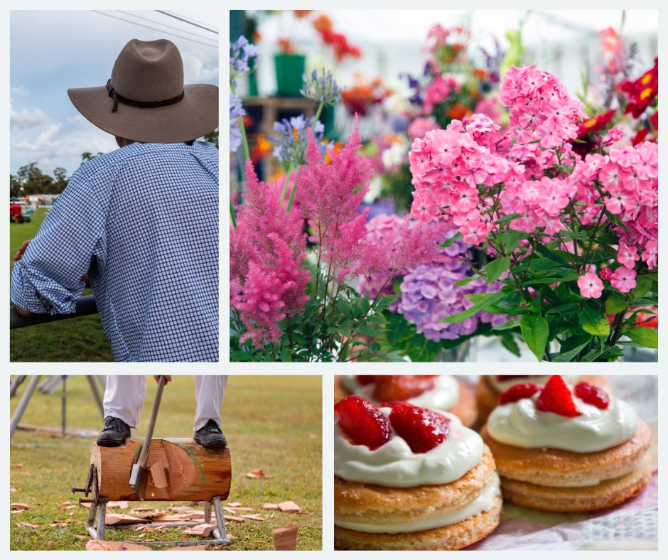 From Montgomery to Llanfyllin, Berriew to Llangynidr and Llanfechain, the fields fill with laughter, livestock, and the scent of something just out of the oven.�There are crafts to admire, tractors to cheer, and leeks taller than your uncle.�Knighton bursts into colour too — with bunting, carnival floats, and joy around every corner.�Bring your camera. Eat something local.�This isn’t just show season — it’s Powys at its proudest.
O Drefaldwyn i Lanfyllin, Berriew i Llangynidr a Llanfechain, mae’r caeau’n llenwi â chwerthin, anifeiliaid, ac arogl rhywbeth blasus yn y ffwrn.�Crefftau i’w hedmygu, tracnoriaid i’w cyfri, a leics yn tyfu’n uwch na dy ewythr.�Mae’r Gynton yn ffrwydro â lliw hefyd — baneri, cerbydau carnifal, a llawenydd ar bob cornel.�Dewch â’r camera. Blasa rhywbeth lleol.�Dyma ddim jest sioe — dyma Powys yn ei anterth.