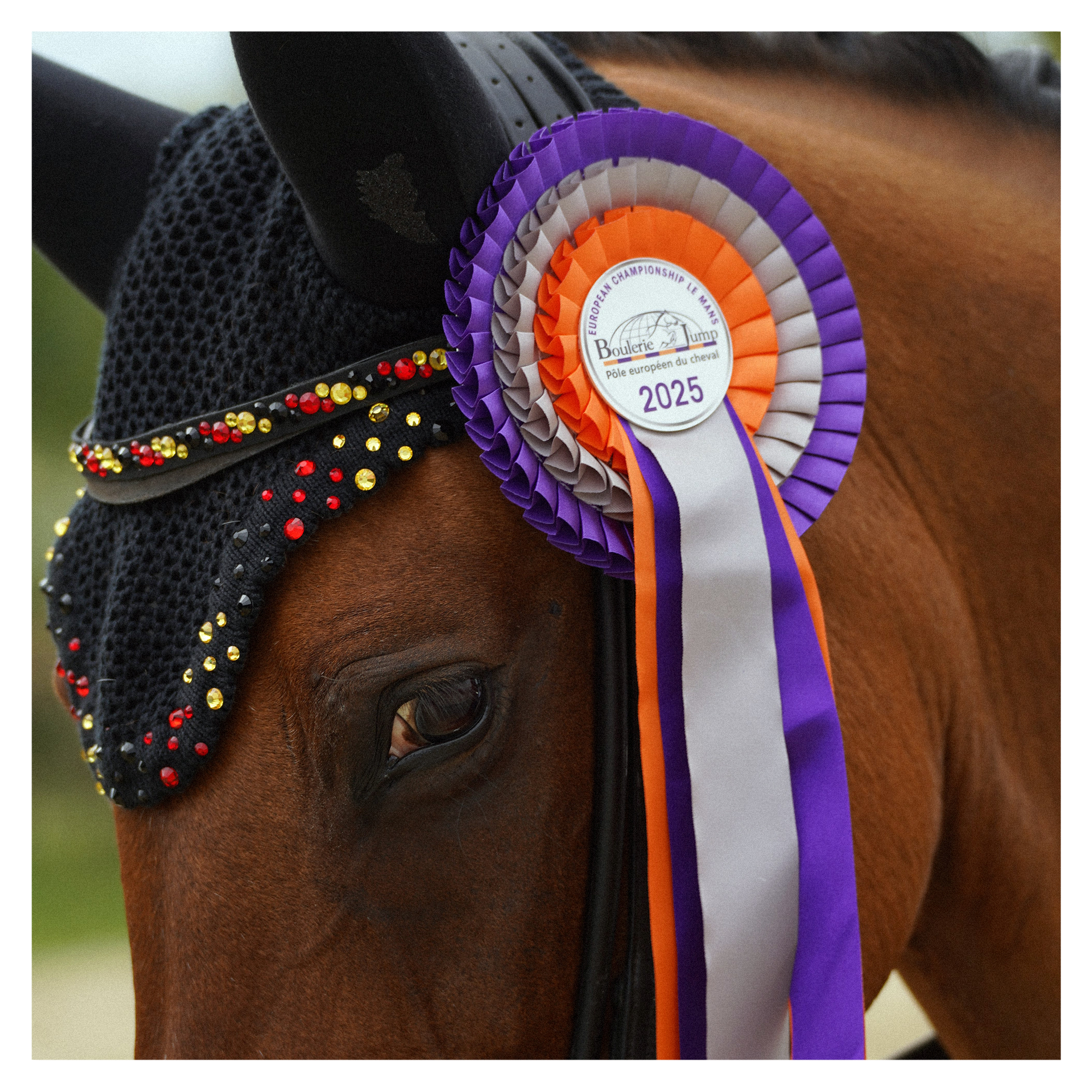 Retour en images sur les Championnats d’Europe qui se sont déroulés du 30 juillet au 3 août 2025 au Mans. 📷🐎
Nos récompenses ont été magnifiquement mises à l’honneur ! 🏆
Un grand merci au @pole_europeen_du_cheval pour sa confiance. 🙏
#europeanchampionship #lemans #poleeuropeenducheval #recompenses #coupe #flots #echarpe #bouleriejump
