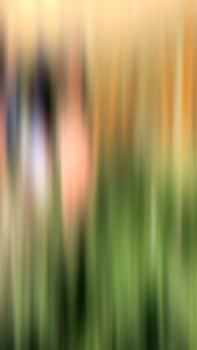 Every BailaMar program includes a multi-day tour to different Dominican cities. For the June ’25 group, it was Santo Domingo, Jarabacoa, and Cabarete—each one so unique!😍
Charming colonial streets and engaging dance classes in Santo Domingo.✨
Spectacular waterfalls, mountain views, and refreshing river waters in Jarabacoa.⛰️
And in Cabarete, an unforgettable experience with the kids from the Bachata Academy.🎤
Stay tuned for more adventures!🌎
———
Want to join BailaMar Bachata Camp? We have two more tours to the Dominican Republic this year:
📅October 19 – November 2, 2025
📅December 7 – 21, 2025
More details at BailaMar.com
———
#bachata #dominicanbachata #dancetour #bachataholidays