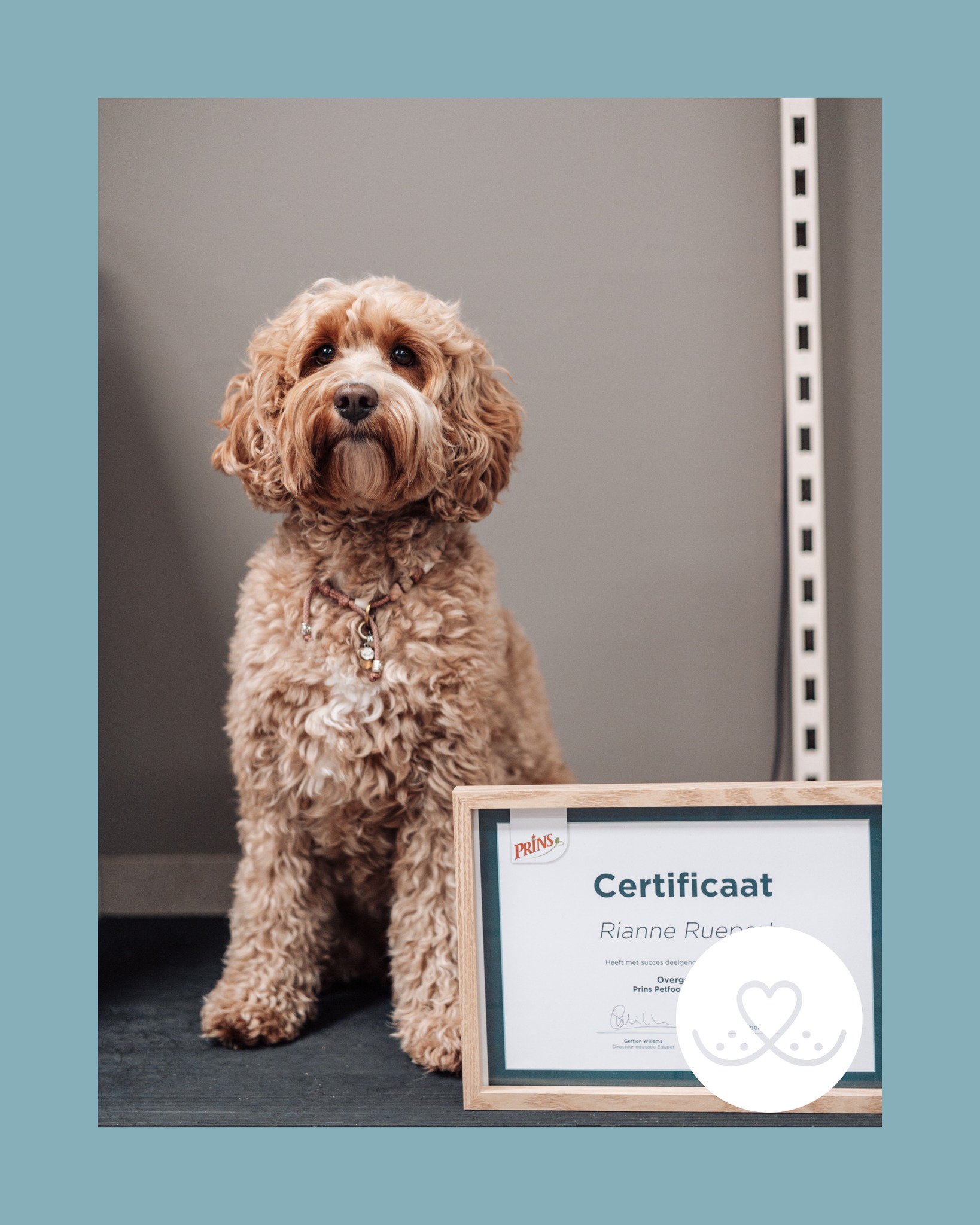 Terug van vakantie?
En heeft jouw huisdier ook heerlijk genoten bij de oppas, of nét even wat extra snacks gekregen tijdens de trip? 😋
Dan is dit hét moment om even bij ons langs te komen! Bij Snoet staan we voor je klaar met deskundig advies over voeding, verzorging en alles wat jouw dier nu nodig heeft. En ja, ook hiervoor hebben we ons diploma gehaald 😉
📍 Kom gerust langs in de winkel, we helpen je graag!
#SnoetBorne #DierenwinkelBorne #Dierenzorg #Dierenspecialist #TwenteOnderneemt #Borne #GezondHuisdier #VerantwoordAdvies #VoorJouEnJeDier