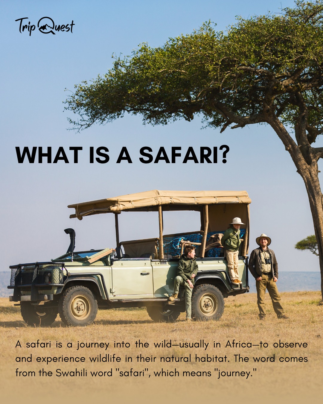 🌍✨ What is a safari, really?
It’s more than just spotting lions or snapping photos—it’s a journey into the wild, where nature writes the story. 🐾
From the thundering hooves of the Great Migration in the Serengeti, to the silent stare of a leopard in a tree—every moment reminds you: you’re not just visiting nature, you’re part of it.
Ready to see the world through wild eyes?
#SafariExperience #TripQuestSafaris #IntoTheWild #MasaiMara #SerengetiMagic #Big5 #AfricaAwaits
.
