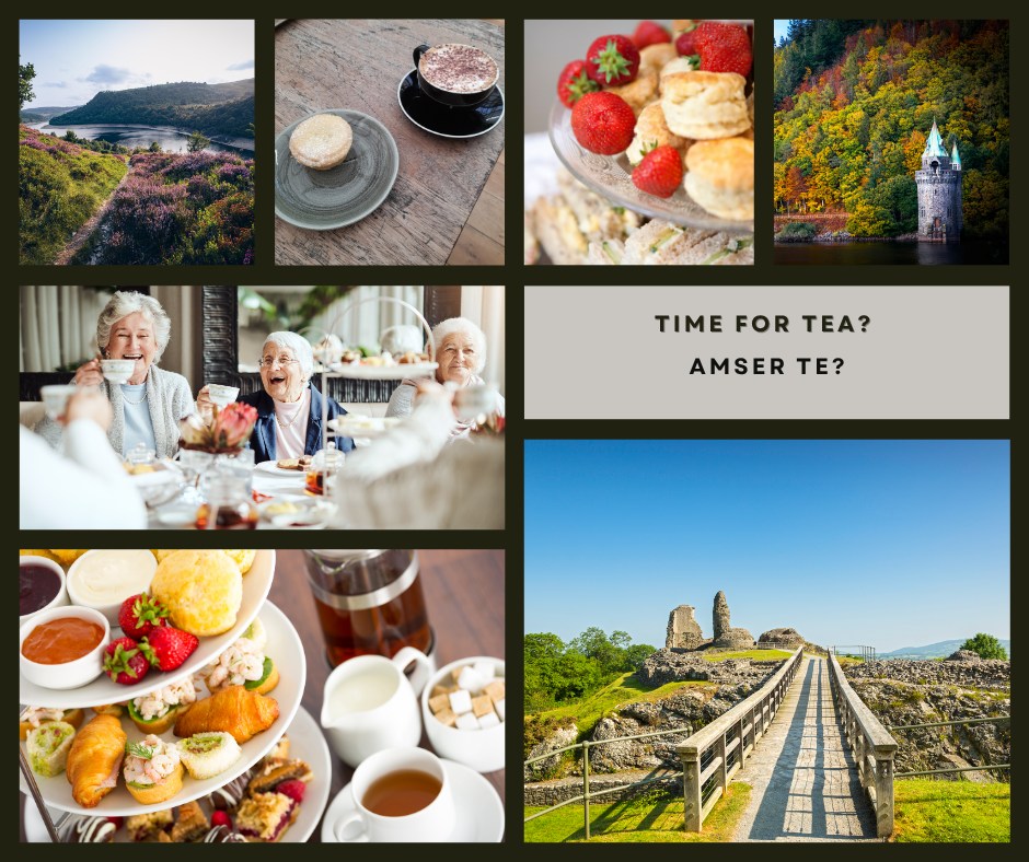 Afternoon tea with a view — and views with a story.�In Powys, the gardens bloom and the benches tell tales. Pull up a chair and stay a while.
Paned a chacen? Oes.�Golygfeydd sy’n siarad? Hefyd.�Mae’r haf yn dod â blodau, sgwrs a straeon i bob congl ym Mhowys.