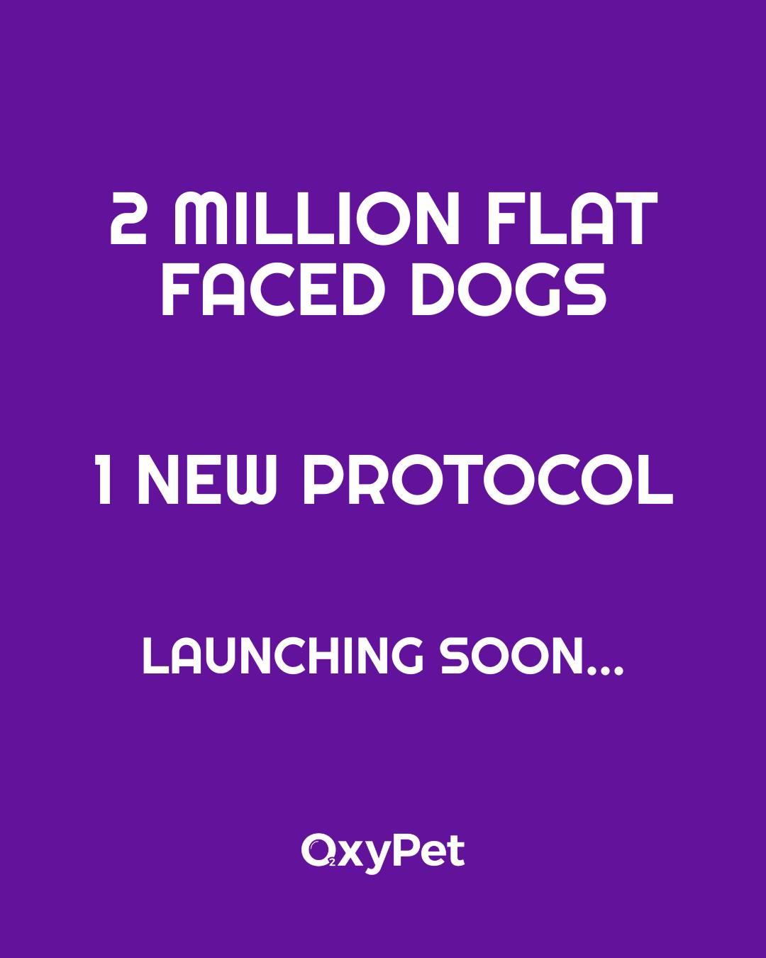 OXYPET
2 Million Flat-Faced Dogs.
One Common Struggle.
A new pet health protocol is launching.
💧Tap to get notified https://www.oxypet.co.uk/product-page/oxypet-oxygen-water-subscription
#HealthyDogs #DogWellness #PetParents #DogsOfInstagram #OxyPet #PetCommunity #Chihuahuas #DogHealth #FlatFacedBreeds #PetWellness #HealthyDog #DogCareTips #OxyPet #PetEducation #MasaruEmoto #Dogs #FrenchBulldogs #BoxerDogs #Pugs #EnglishBulldogs #BrachycephalicDogs