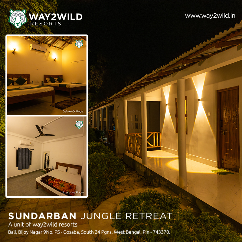 ๐ฟ Escape to the Wild at Sundarban Jungle Retreat ๐ฟ
Tucked away in the heart of nature, our serene resort in Bali, Gosaba offers the perfect blend of comfort and wilderness. ๐โจ
๐ก Wake up to birdsong.
๐ฒ Walk amidst lush greenery.
๐ฅ Unwind by a cozy bonfire under starlit skies.
๐ Located at: Bijoy Nagar, Gosaba, South 24 Pgns, West Bengal โ 743370
๐ For inquiries: +91-8910090151/97335 38169
๐ถ Book your jungle escape now: www.way2wild.in
#SundarbanRetreat #NatureEscape #ReconnectWithNature #WeekendGetaway #SundarbanDiaries #Way2WildResorts #sundarban #sundarbantigerreserve #sundarbannationalpark #savethetiger #wildlife_shots #bigcat #boatsafari #IncredibleIndia