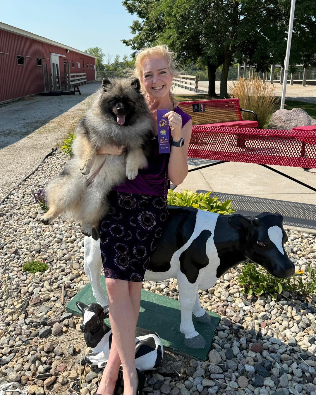 We had fun at the dog show today!
Amex “Peregrine’s Kiss My Assets” won her first point from the 9-12 puppy class in Racine.
She had a great time eating treats and meeting new friends!