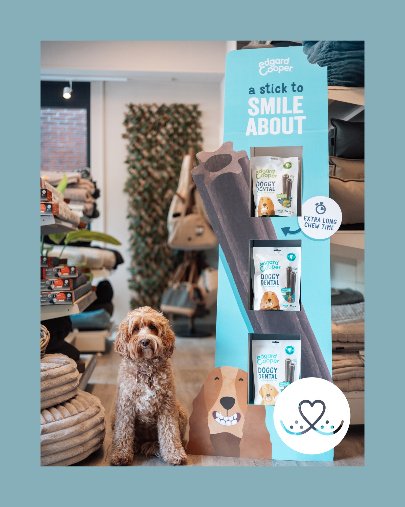 Actie bij Snoet! Edgar & Cooper Dentasticks 3+1 gratis!
Goed nieuws voor alle hondenvreinden: bij aankoop van 3 Dentasticks van @edgardcooper krijg je er 1 gratis bij!
Kom snel langs in de winkel en profiteer van deze lekkere actie!
#SnoetBorne #EdgarAndCooper #DierenwinkelBorne #Dierenspecialist #VoorJouEnJeDier #Dierenwinkeltwente #Doglovers #ondernemerstwente #borne