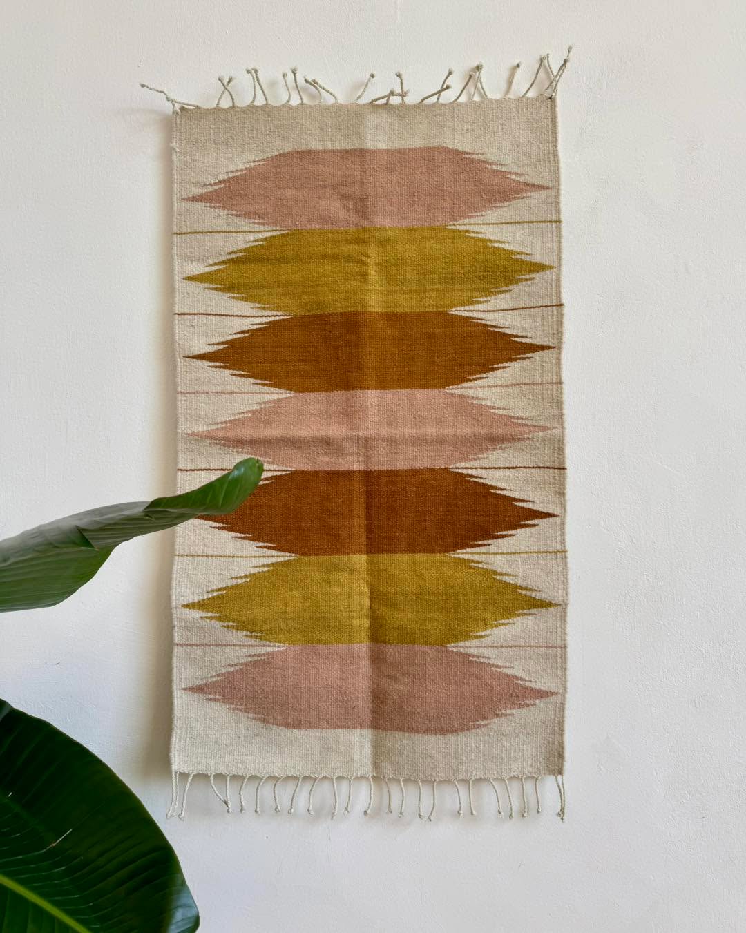 ✨ Handgewebte Harmonie in Farben ✨
Inspiriert von der Natur und dem Rhythmus traditioneller Webkunst – jeder Farbblock erzählt eine Geschichte.
Warme Erdtöne, sanfte Rosé-Nuancen und goldene Strahlen, die wie Sonnenaufgänge wirken. 🌅
Ein Stück, das Wärme und Ruhe in dein Zuhause bringt.
🧵 100 % Wolle 🐑, handgewebt in Oaxaca
🌿 Gefärbt mit natürlichen Pigmenten
📏 60 x 100 cm
#Textilkunst #Handgewebt #OaxacaMagic #MexicanTextiles #SlowLiving #BohoHome #EthnoChic #NaturalDyes #TraditionAndDesign #WovenStories