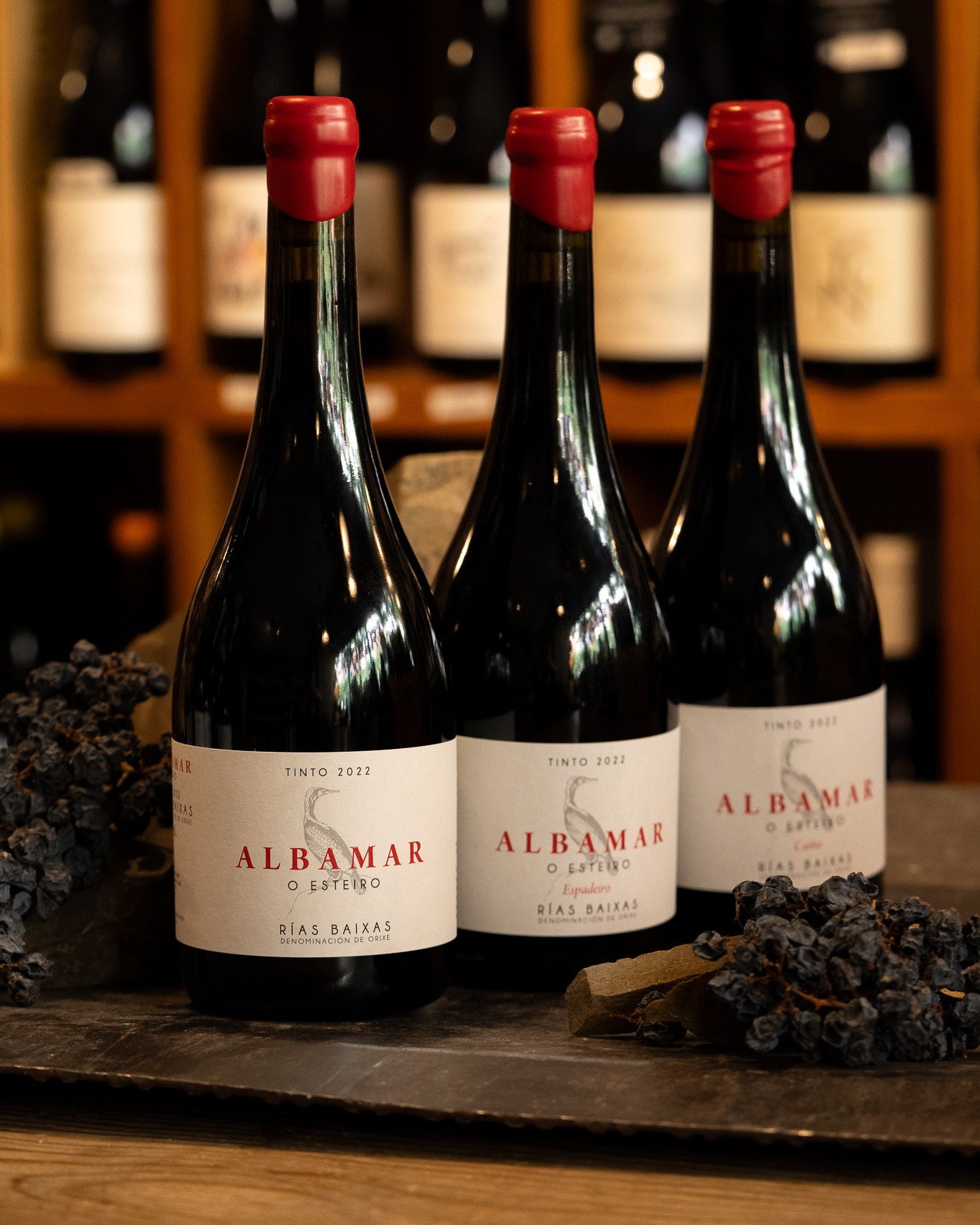 Tres botellas, un mismo mar.
Albamar viste de tinto las Rías Baixas con O Esteiro, Espadeiro y Caíño. Tres vinos que hablan gallego, saben a Atlántico y se disfrutan sorbo a sorbo.
Albamar O Esteiro Tinto: frescura y fruta roja sobre un fondo mineral. Un tinto que rompe moldes en tierra de blancos.
Albamar O Esteiro Espadeiro: delicadeza y elegancia, con notas florales y acidez vibrante. Ideal para descubrir la singularidad de esta variedad autóctona.
Albamar O Esteiro Caíño: intensidad aromática y estructura refinada, con un toque especiado que enamora a los paladares curiosos.
🍷 Encuéntralos en nuestra distribuidora y vinotecas.
#vinotecatierra #albamar #vinotinto #vinos #distribuidoradevinos #vinosenmadrid #veranoentucopa