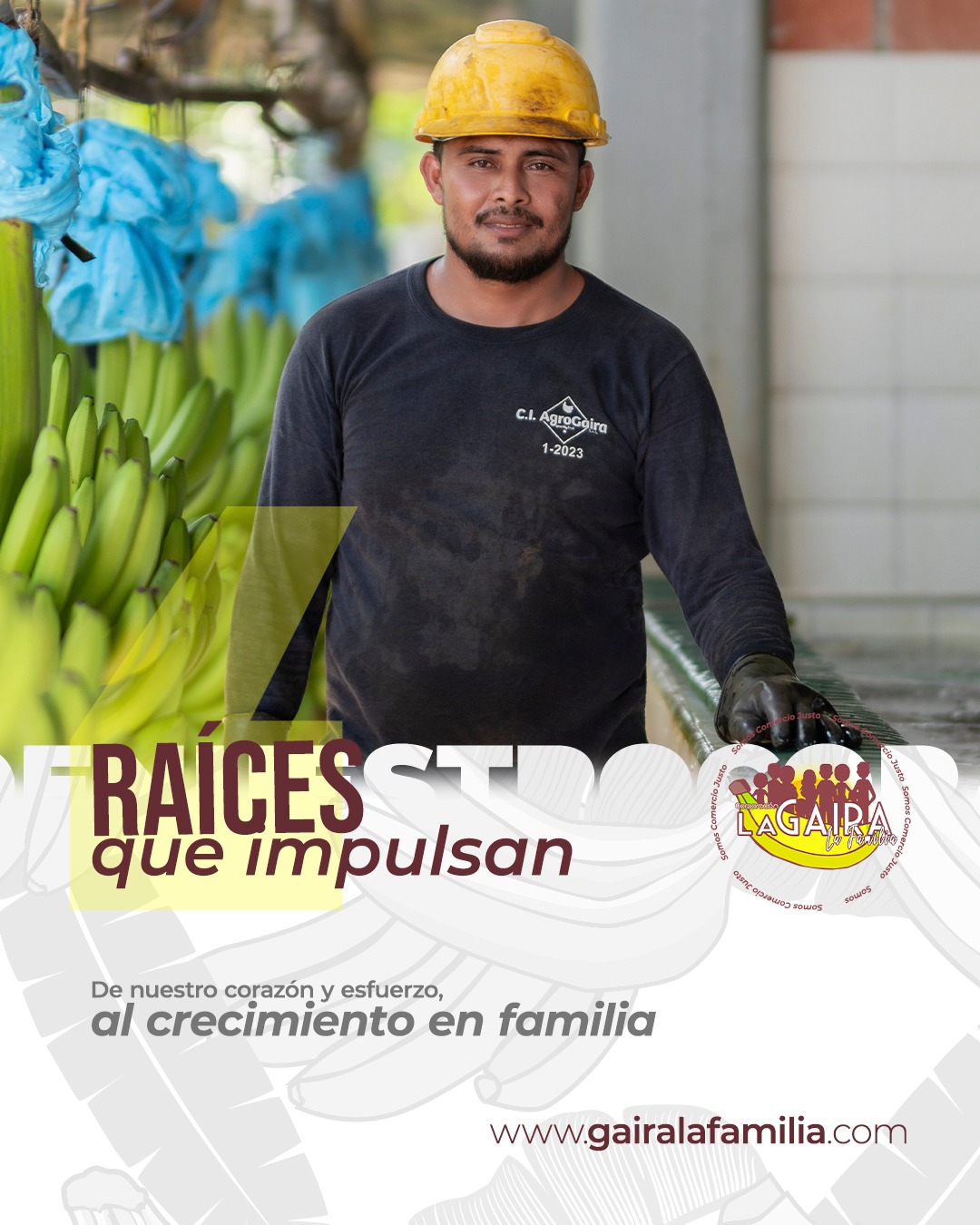 We understand that the strength of a family goes beyond blood ties. We are strong roots driving sustainable growth, the well-being of our communities, and respect for the environment around us. Our commitment to Fairtrade is reflected in every step we take, ensuring real opportunities for those who work the land and build a dignified future for all.
_______________________
Entendemos que la fuerza de una familia va más allá de los lazos de sangre. Somos raíces firmes que impulsan el crecimiento sostenible, el bienestar de nuestras comunidades y el respeto por el entorno que nos rodea. Nuestro compromiso con el Comercio Justo se refleja en cada paso que damos, garantizando oportunidades reales para quienes trabajan la tierra y construyen un futuro digno para todos.
#RaicesQueImpulsan #ComercioJusto #Fairtrade #Sostenibilidad #CrecimientoEnFamilia #LaGaira #AgriculturaSostenible