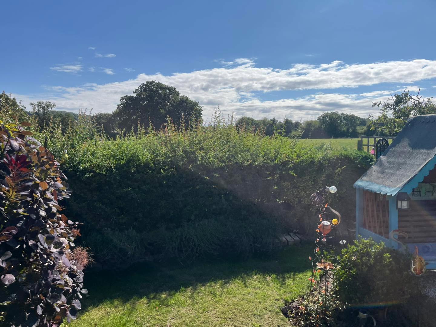 PERFECTLY TRIMMED – HEDGE CUTTING EXPERTS AT WORK! ✂️🌳
We’ve just completed another job for one of our regular customers, and the results speak for themselves! The photos show the before and after of our expert hedge cutting – clean, precise, and giving the garden a fresh, tidy look.
💪 Our team takes pride in delivering the same high standard of work every single time, keeping your outdoor spaces looking their absolute best.
📸 Swipe to see the transformation – neat lines, perfect height, and a professional finish every time!
📲 Need your hedges brought back to life? Book in with Four Seasons Maintenance today – we’re just a message away!
#FourSeasonsMaintenance #HedgeCutting #GardenCare #BeforeAndAfter #GardenMaintenance #HedgeTrimming #LocalTrades #HomeAndGarden #OutdoorSpaces #GardenServices #SupportLocal #PropertyCare