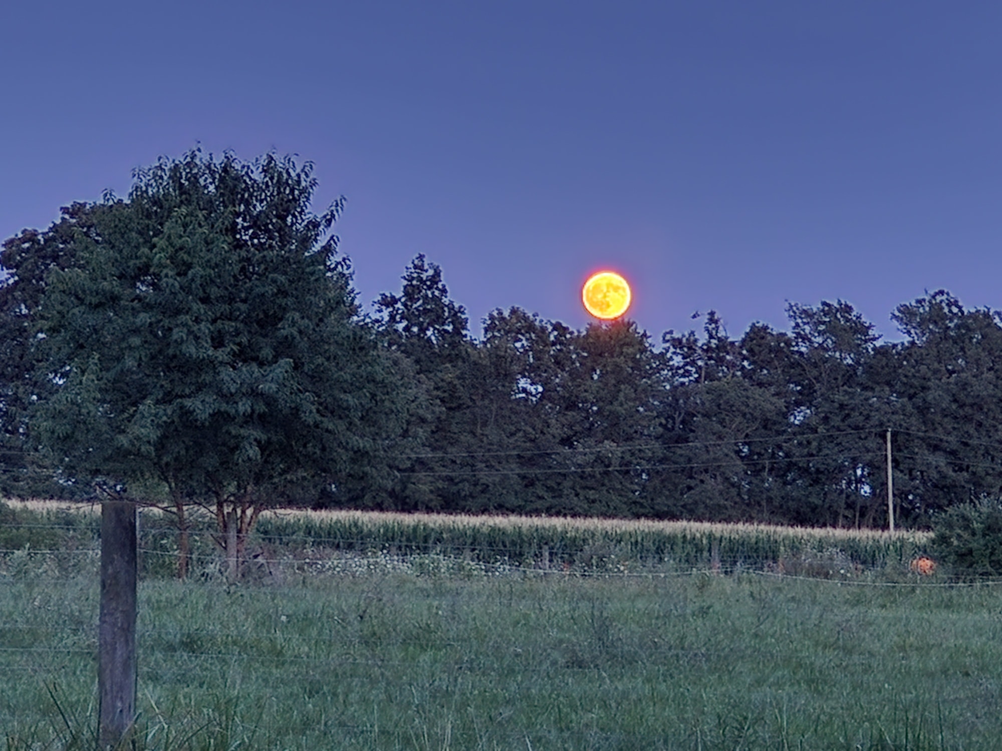 I tried to get some pictures of the full moon. 🤷♀️
#sturgeonmoon #ohiofarmers
