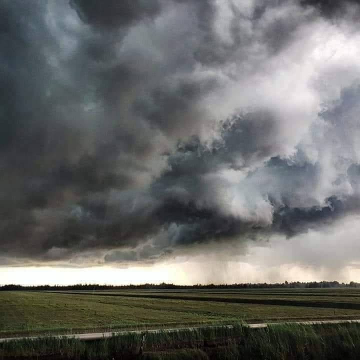 🌧 Don’t Let the Rain Stop the Fun! 🌧
Discover the wonder of cranberries — rain or shine!
Hop aboard our bus for a Free Guided Marsh Tour and learn all about the fascinating process of growing cranberries.
After your tour, stop in our Gift Shop for complimentary wine samples and browse our selection of gourmet cranberry treats.
📅 Tours Today at 11 AM & 1 PM
📍 Lake Nokomis Cranberries – Open 10–5
Come for the tour, stay for the wine! 🍷