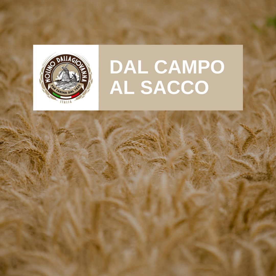 📚 Momento Formazione 📚
I 6 passaggi per trasformate il grano in farina 🌾
Molino Dallagiovanna
Grano Lavato
Farine Superiori
#dallagiovanna #molino #molinodallagiovanna #molini #moliniitaliani #madeinitaly #farinasuperiori #farinedagranolavato #granolavato #acqua #flour #italianflour #farinadallagiovanna