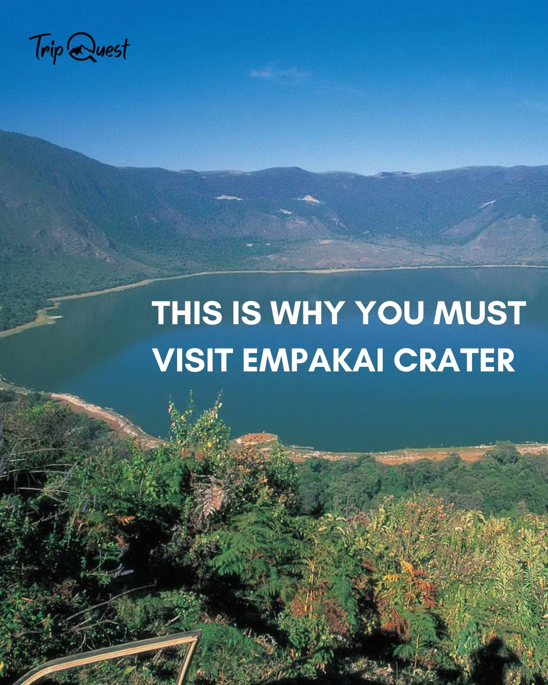 This is why you must visit Empakai Crater 🌳
#TripQuestSafaris #SafariExperts #ExploreArusha #TripQuest #wildAfrica #safariadventure #africatravel #africatour #KenyaSafari #NgorongoroSafari #WildlifeAdventures #TanzaniaTravel