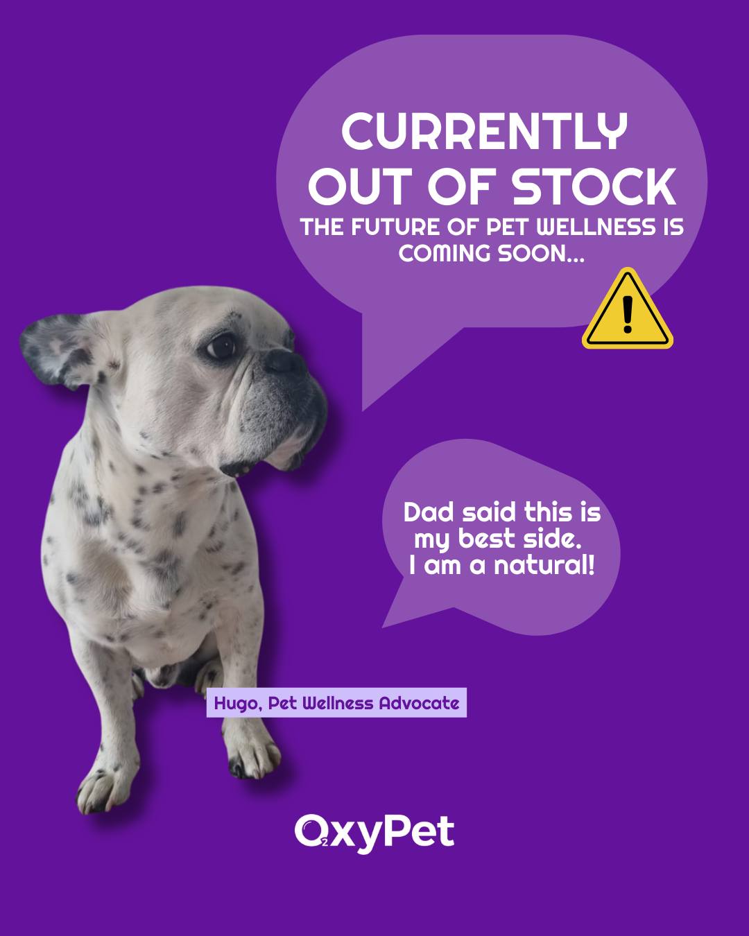 OUT OF STOCK, but Hugo says it’s worth the wait. 🐾
The future of pet wellness is launching soon!
2 Million Flat-Faced Breeds.
One Common Struggle.
Don't miss the new pet health protocol.
Register for restock + updates:
https://www.oxypet.co.uk/product-page/oxypet-oxygen-water-subscription
#HealthyDogs #DogWellness #PetParents #DogsOfInstagram #OxyPet #PetCommunity #Chihuahuas #DogHealth #FlatFacedBreeds #PetWellness #HealthyDog #DogCareTips #OxyPet #PetEducation #MasaruEmoto #Dogs #FrenchBulldogs #BoxerDogs #Pugs #EnglishBulldogs #BrachycephalicDogs