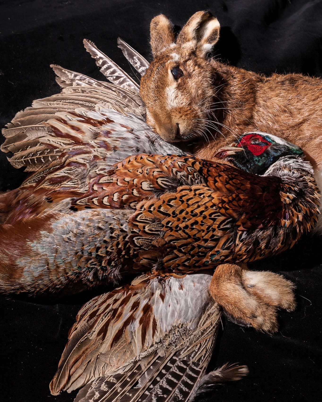 I can't believe yesterday saw the start of the game season and I am looking at putting together our winter menus already!
Look out for our winter menus going live soon including all the beautiful game I love to use through the season
#wedding #oxfordshire #dinner #barbecue #seasonalproduce #buffet #caterer #reading #inhomedining #finedining #privatechef #party #britishproduce #berkshire