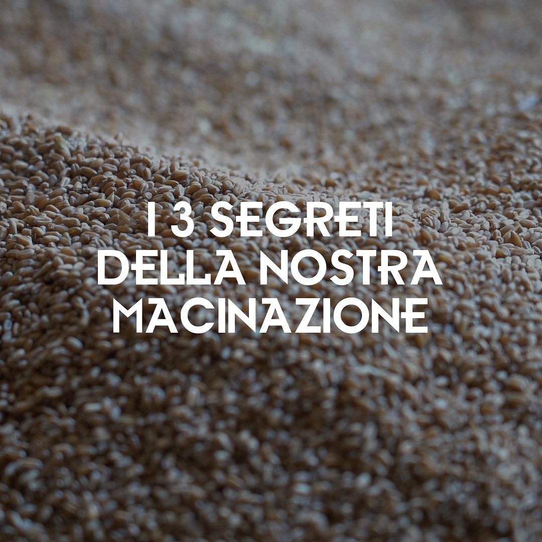 📚 Momento Formazione 📚
Questo è un post tecnico per esperti del settore 👨🔬
#molino #molinodallagiovanna #dallagiovanna #macinazione #farina #grano #farfarina