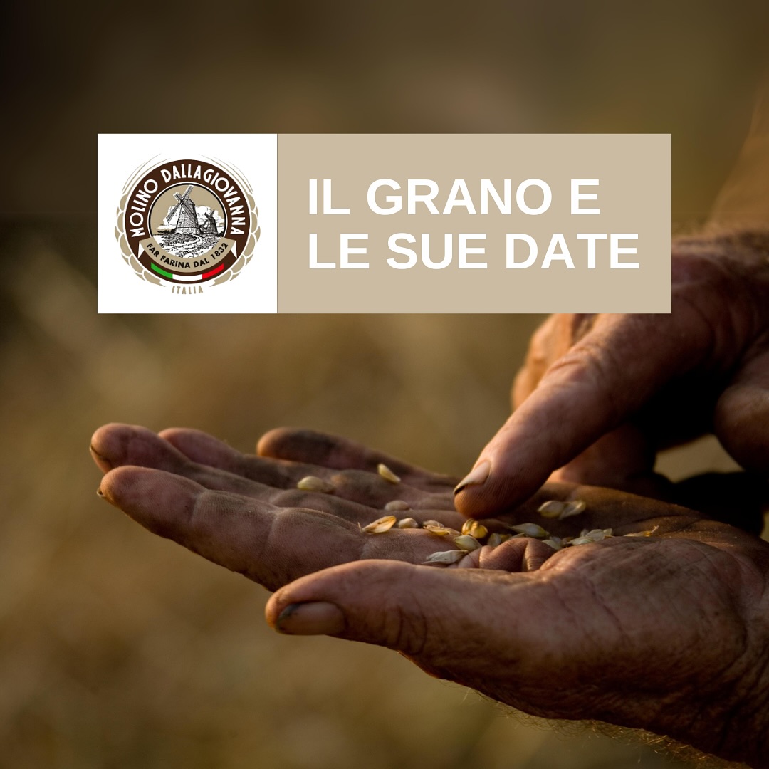 📚 Momento Formazione 📚
Al giorno d’oggi la vita, soprattutto qui nei social, corre molto velocemente, ma lá fuori, nei campi di grano, si rispettano ancora dei tempi naturali ☀️💧☀️
Scopri i tempi del grano 🌾
#dallagiovanna #molino #molinodallagiovanna #molini #moliniitaliani #madeinitaly #farinasuperiori #farinedagranolavato #granolavato #acqua #flour #italianflour #farinadallagiovanna