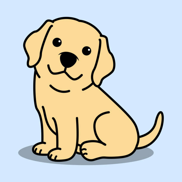 Breed spotlight!! How cute are labradors?!
The Labrador Retriever remains one of America’s most popular dogs. Their sweet, friendly and outgoing demeanor make them a favorite for families who want a medium or large furry companion. Their thick coat comes in yellow, black and chocolate and, at about 2-feet tall, they weigh between 55 and 80 pounds. They are friendly not only with family members, but also with people in general, as well as other dogs. Despite an easy-going demeanor, they require a lot of exercise, whether it’s playing fetch, swimming or playing with other dogs.
They commonly have more orthopedic issues than other medical issues, unless they have marked dietary indiscretion. One feature that has been recently identified is that about 30 percent have a gene that makes them voracious.
Source: AKC