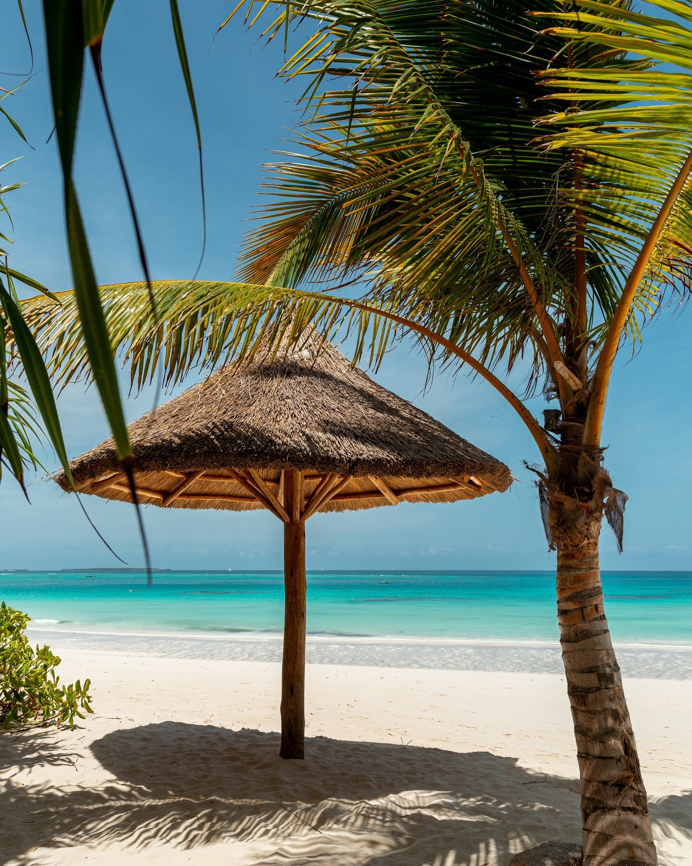 🌊 Make waves in Zanzibar. Discover hotels and commercial spaces designed for thriving ventures and unforgettable experiences.
🔗 Link in Bio