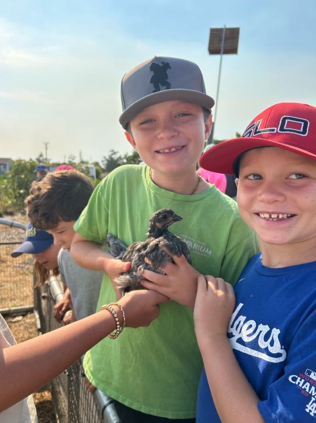 ๐ฃ Registration is OPEN NOW for Junior Farmers After School Program at City Farm SLO ๐ฑ๐
๐
Sept 9 โ Oct 30, 2025 | Tues & Thurs afternoons
๐ง Ages Kโ6th grade
Kids unplug and connect with nature while caring for animals, planting and harvesting in the garden, making nature crafts, and exploring the farm. Led by our experienced farm educators, itโs the perfect mix of outdoor fun, teamwork, and hands-on learning.
๐ City Farm SLO โ 1221 Calle Joaquin, San Luis Obispo, CA
๐ Registration closes Sept 2 โ spots fill fast!
โก More info & sign up using the link in our bio
\#CityFarmSLO #SanLuisObispo #SLO #AfterSchoolProgram #JuniorFarmers #KidsOnTheFarm #FarmEducation #OutdoorLearning #SanLuisObispoKids #SLOCountyKids