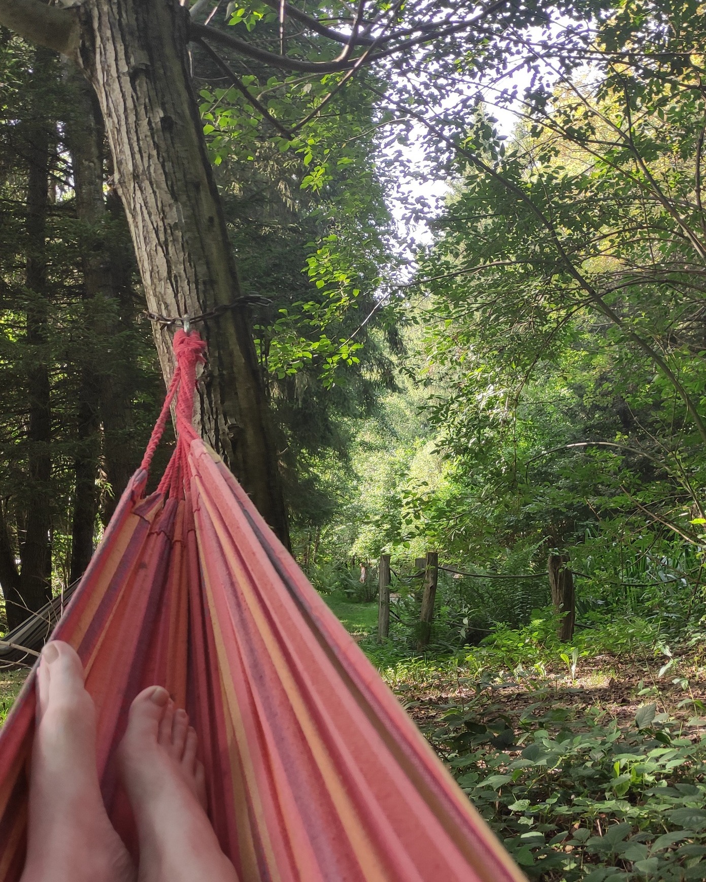 🌍 Four ferries, a surprise birthday party, coaching sessions from the beach, and even a Zen campsite in the Vosges...
This summer was not what I expected—but it was exactly what I needed.
It reminded me that even in the chaos of parenting and plans, there’s space for saying yes:
✅ Yes to learning in unconventional places
✅ Yes to joining kids with additional needs on their terms
✅ Yes to real rest (even just for an hour)
This week’s newsletter is a postcard from my summer and a gentle invitation to join me this autumn—whether that’s through the ADHD Parenting Collective, an in-person Positive Discipline session, or a free coaching call to map out your next step.
📝 Tap the link in bio/comments to read.
#PositiveParenting #ADHDFamilies #ParentingCoach #BackToSchoolVibes #ExpatMums #IntentionalParenting