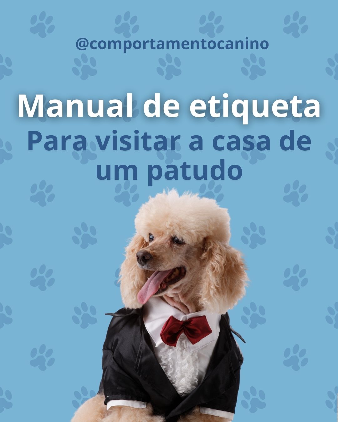 Receber visitas em casa é um momento especial – e quando há um patudo na família, torna-se ainda mais importante garantir que todos se sentem bem-vindos e confortáveis 🐾✨
Muitas vezes, pequenos gestos e cuidados fazem toda a diferença para criar uma experiência harmoniosa: o tutor sente-se respeitado, o patudo mantém-se tranquilo e a visita desfruta de um ambiente mais leve e agradável.
Respeitar o espaço e as necessidades de um cão não é apenas uma questão de etiqueta, é uma forma de promover bem-estar e fortalecer relações. Afinal, uma boa visita é aquela em que todos saem a ganhar – pessoas e patudos! 💜
👉 Costuma ter em atenção estes detalhes quando visita uma casa com um patudo?
#comportamentocanino #treinocanino #patudosfelizes #etiquetacanina #dicascaninas #vidadecao #boaspraticascaninas #cãesportugal #bemestarcanino #conselhoscaninos #respeitocanino
