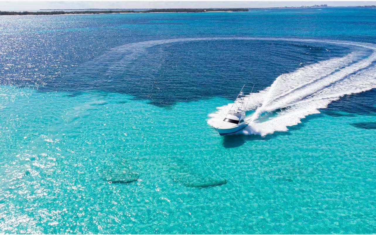 Adrenaline Meets Elegance
Shark diving by morning, champagne on deck by sunset. Who says adventure can’t come with a white-glove touch? With Island Yachts, thrill-seekers get their rush — and their luxury.
#IslandYachts #LuxuryAdventure #BahamasYachtLife #DiveIntoParadise #EleganceAtSea