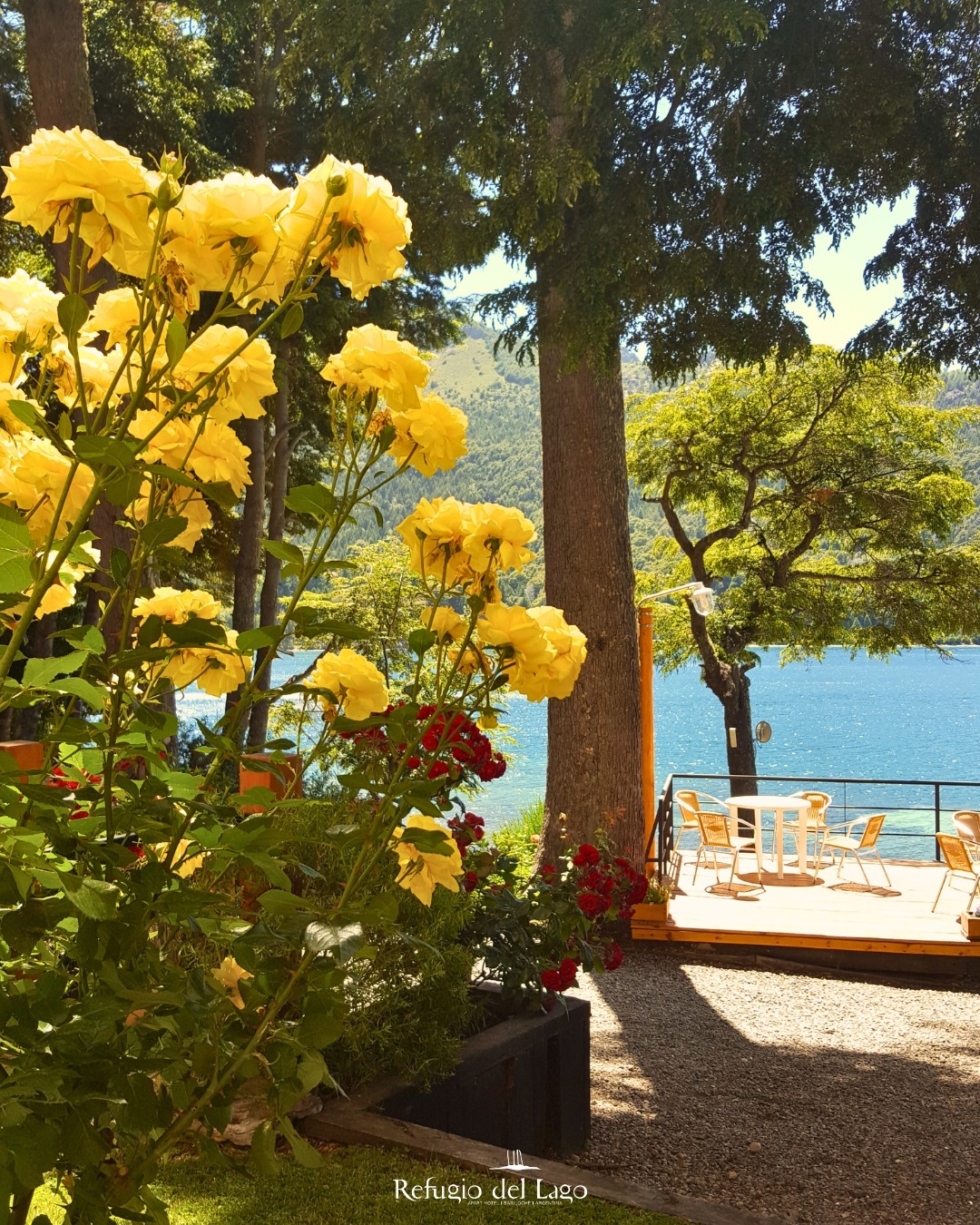 ¡La energía de la primavera ya se siente en el aire y en nuestro lago! La temporada más vibrante del año ya empezó!
#lagogutierrez #hotelesenbariloche #hotel #hospedaje #vacaciones #barilocheteespera #patagonia #argentina #primavera #naturaleza