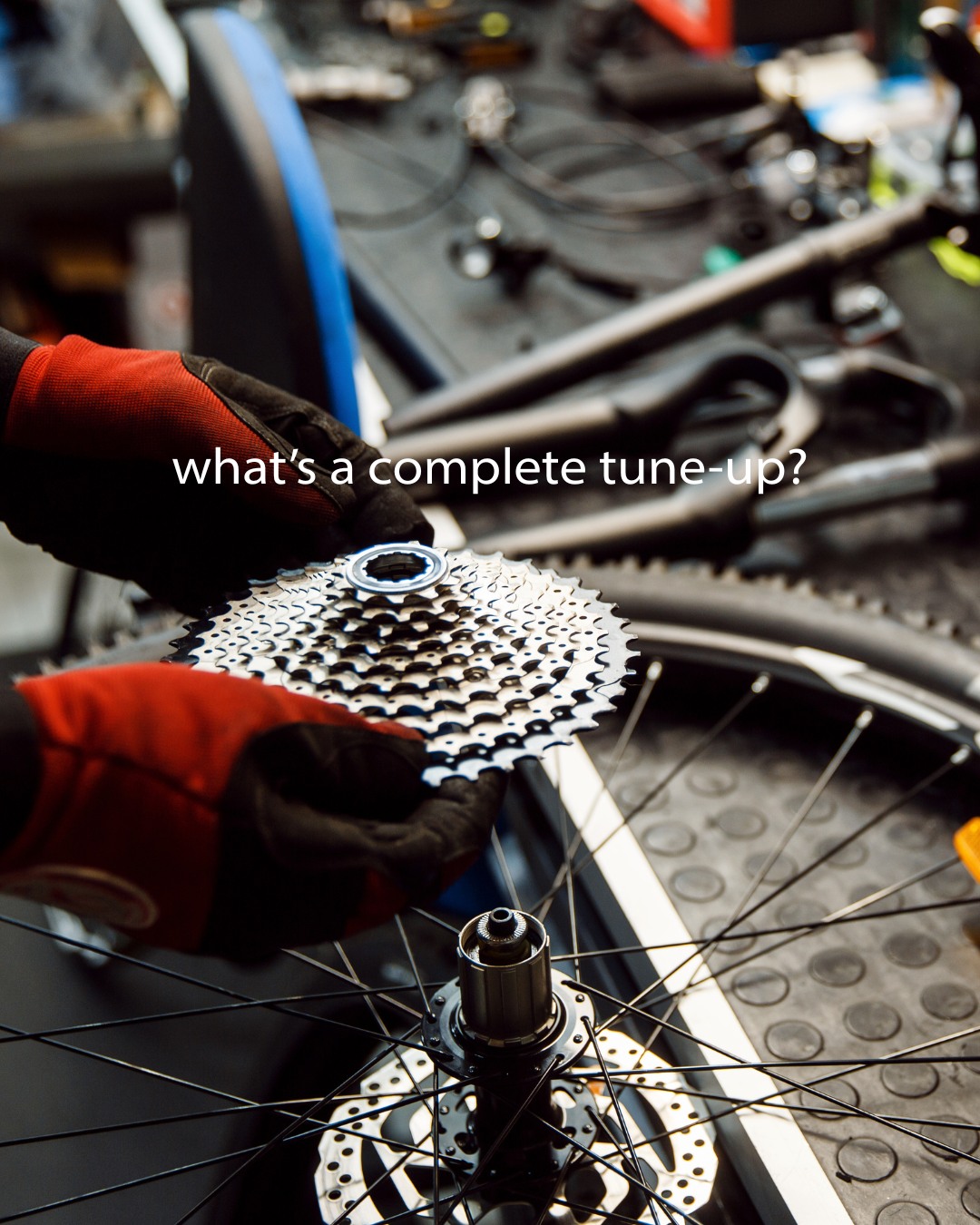 What's a complete tune-up?
•Remove wheels from bike; true and tension wheels in truing stand
•Clean wheels
•Adjust bearing surfaces externally including front and rear hubs, bottom bracket and headset
•Adjust brakes and adjust brake cable tension
•Lubricate brake cables
•Adjust front and rear derailleur and adjust derailleur cable tension
•Lubricate derailleur cables
•Clean bike chain and lube
•Clean all components as necessary for proper adjustment
•Inspect all other nuts and bolts
•Clean and polish frame
Swing by Windham Mountain Outfitters for bike rentals, gear, and everything you need to ride the Catskills.