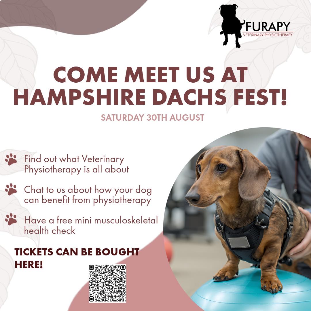 🐾 We’re delighted to share that Furapy will be at Hampshire Dachs Fest! 🐾
📍 When: Saturday 30th August
📍 Where: Westlands Farm Shop, Southampton
Come and say hello — we’ll be on hand to:
✔️ Explain what Veterinary Physiotherapy is all about
✔️ Chat about how your dachshund could benefit from physio
✔️ Offer a free mini musculoskeletal health check for your dog
We’re really looking forward to meeting lots of dachshunds (and their humans!) — see you there! 🐶💜