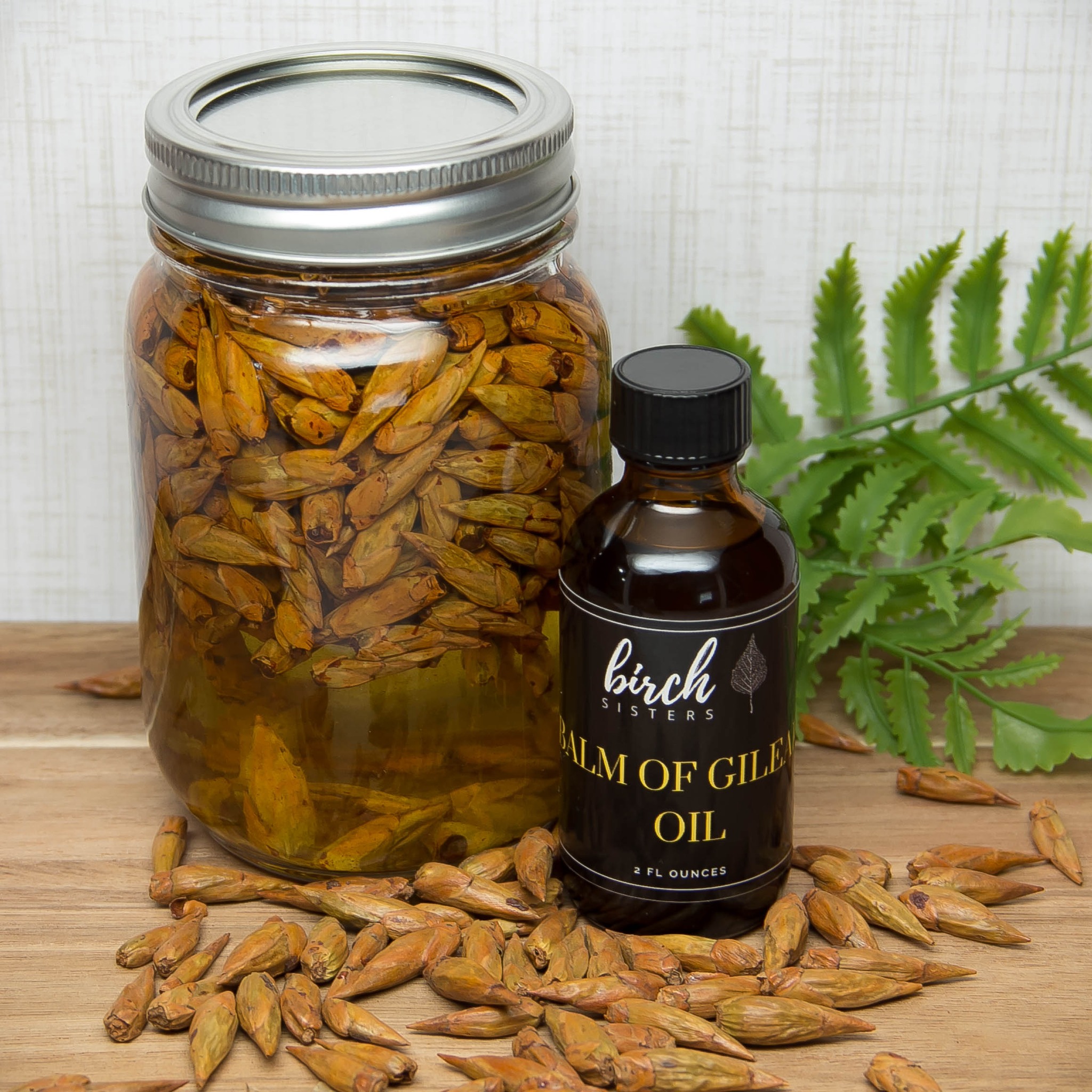 ✨ Did you know? Balm of Gilead oil has been used for centuries to soothe aches, calm irritation, and restore skin’s natural balance.
Our slow-infused Balm of Gilead Oil combines wildcrafted cottonwood buds with nourishing sweet almond oil — creating a multipurpose remedy you’ll want on hand for sore muscles, dry skin, sunburn, and more.
💆 Perfect for massage, everyday skincare, or those little “ouch” moments.
👉 You can read more about our Balm of Gilead infused oil here: www.birchsisters.com/product-page/balm-of-gilead-oil