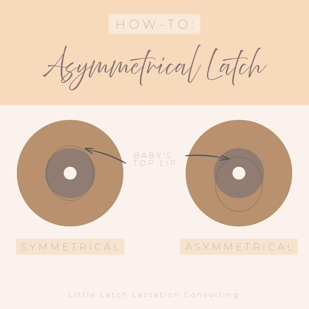 💡 Let’s chat about the asymmetrical latch! 💡
Sometimes a latch can feel a little “off” or even uncomfortable, and often it comes down to positioning. One really helpful technique is the asymmetrical latch, it makes a big difference for both your comfort and your baby’s milk transfer. 🍼✨
With an asymmetrical latch, baby takes in more of the areola from the bottom than the top. This helps baby get a deeper latch, which protects your nipples (less soreness 🙌) and supports a better milk flow.
Here’s how you can encourage it:
1️⃣ Line baby’s nose up with your nipple (rather than their mouth).
2️⃣ Bring baby in chin-first, allowing their head to tilt back slightly.
3️⃣ When baby opens wide, aim for their lower lip to take in more of the areola than the top lip.
This little adjustment often means baby can drain the breast more effectively, and feeding feels so much more comfortable for you. 👍
Remember: breastfeeding isn’t meant to be painful. If you’re feeling discomfort, double-check your latch and don’t hesitate to reach out for support💛
#AsymmetricalLatch #BetterLatchTips #BreastfeedingSupport #LatchAndLearn #BreastfeedingJourney #BreastfeedingTips #NippleRelief #MilkTransferMatters #LatchMatters #PainFreeBreastfeeding #NewMumLife #BabyFeedingJourney #FedWithLove #ParentingSupport #NewbornFeeding #HappyFeeding #PerthMums #PerthParents #PerthBabies #PerthLactationConsultant #PerthSupport