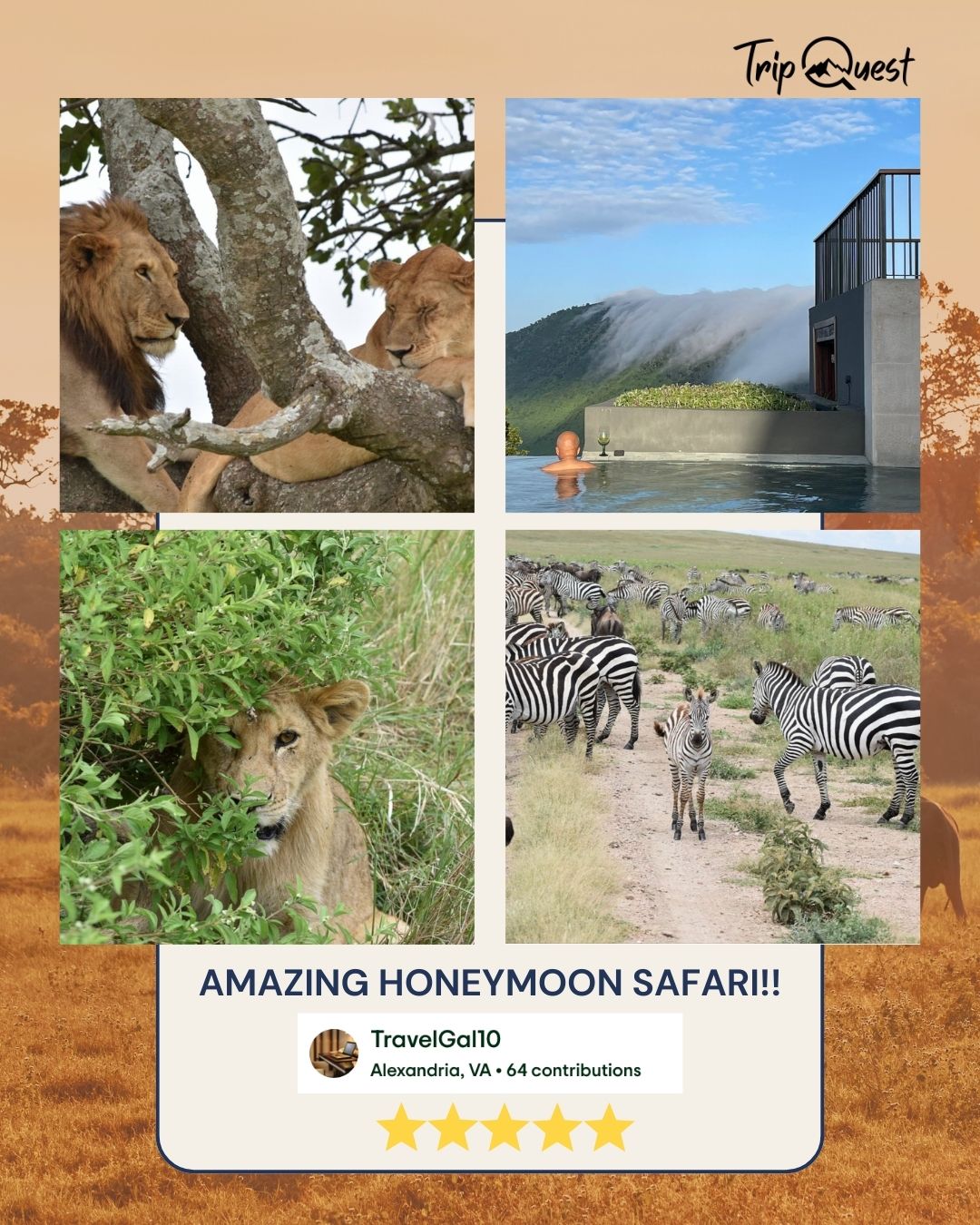 We’re feeling so grateful today 🌿✨
A huge thank you to our wonderful guests for sharing your experience on TripAdvisor. Your kind words mean the world to us and inspire our team to keep creating unforgettable moments.
Your support doesn’t just make us smile — it helps other travelers discover their next adventure too.
#ExploreArusha #TripQuest #wildAfrica #safariadventure #africatravel #africatour #KenyaSafari #NgorongoroSafari #WildlifeAdventures #TanzaniaTravel