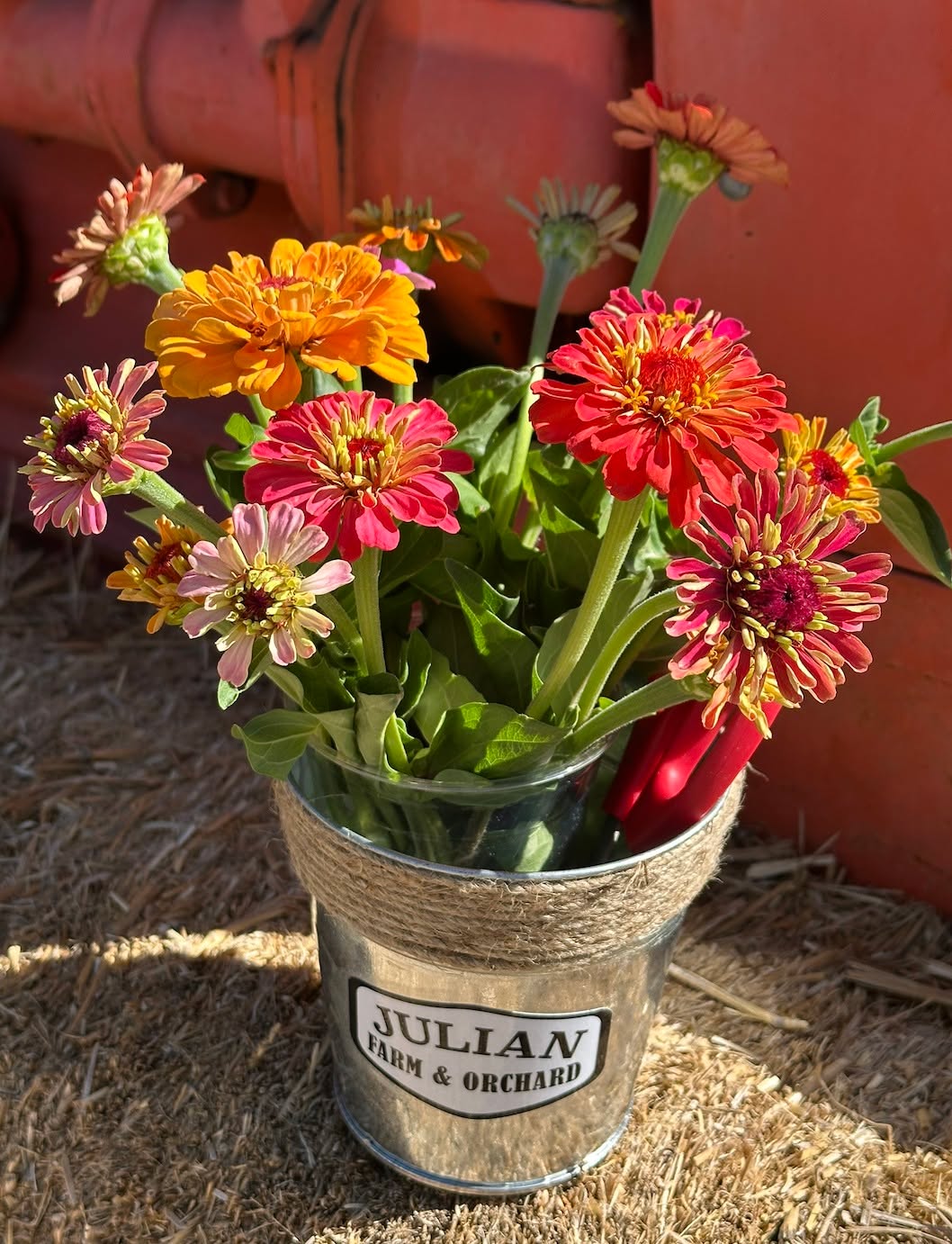 🤔 Guess what's waiting for you this weekend?
🐐 Adorable animals to pet!
💐 Stunning flowers to pick!
🎲 Yard games to play!
It's all happening at the farm this Saturday.
- - - -
Hours:
Saturday
3pm to 6pm
- - - -
🧑🌾 General Admission($5) 🧑🌾
Includes access to our petting zoo and all of our fun yard games.
- - - -
🍓U-Pick 💐:
💐 Bunching Flowers 💐 are $15 a cup, all you can fill. We have a good amount of flowers right now!
🍓Berries 🍓
- Raspberries: We have a good amount of raspberries.
Heads up: some of our raspberry plants have little thorns.
Strawberries and Blackberries: Will be unavailable this week. We see lots of flowers on the strawberries, so we are hoping to have more soon!
*We have a LIMITED supply of berries and a HIGH demand for them.*
While supplies last, we will sell ONE berry container to each household. Come right when we open to increase your chances of getting a berry u-pick container.
U-pick is only sold on-site and is subject to daily availability.
----
See you soon!