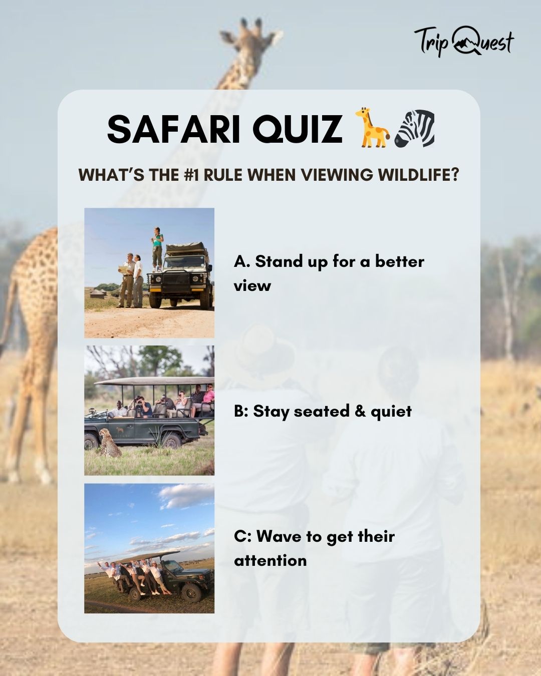 On safari, there’s one golden rule when you’re face-to-face with wildlife 🦁🦒
Think you know what it is? Drop your guess below 👇
#SafariQuiz #SafariTips #TravelSmart #GameDriveTips #AfricaTravel