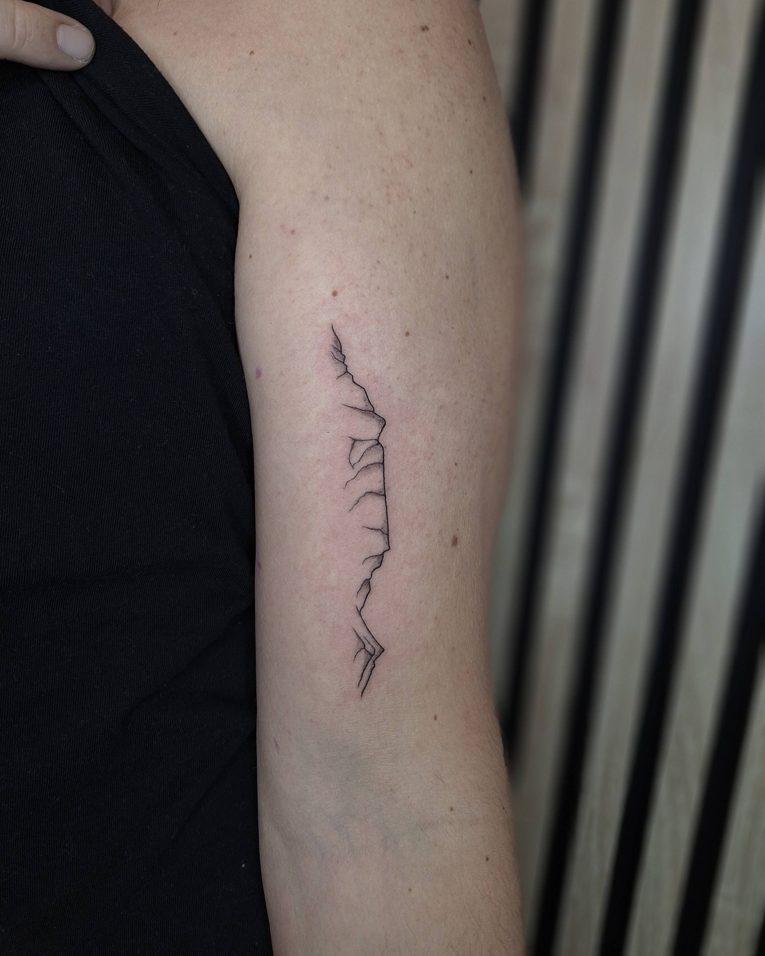 Less is more ✨ by @luneink
This fine-line design captures the quiet strength of nature — sharp ridges and delicate contours in a minimal form that says it all. Proof that even the smallest tattoos can carry a big story 🌄
⠀
Done at @thelostoasistattoo
⠀
✨ Want ink like this? 👉 DM @luneink or email luneink.info@gmail.com
to book your spot! ✉️
⠀
We’re staying cool in our air-conditioned studio all summer 🧊, so while the sun blazes outside, you can enjoy chill vibes, fresh ink, and our special summer deals ☀️🌿