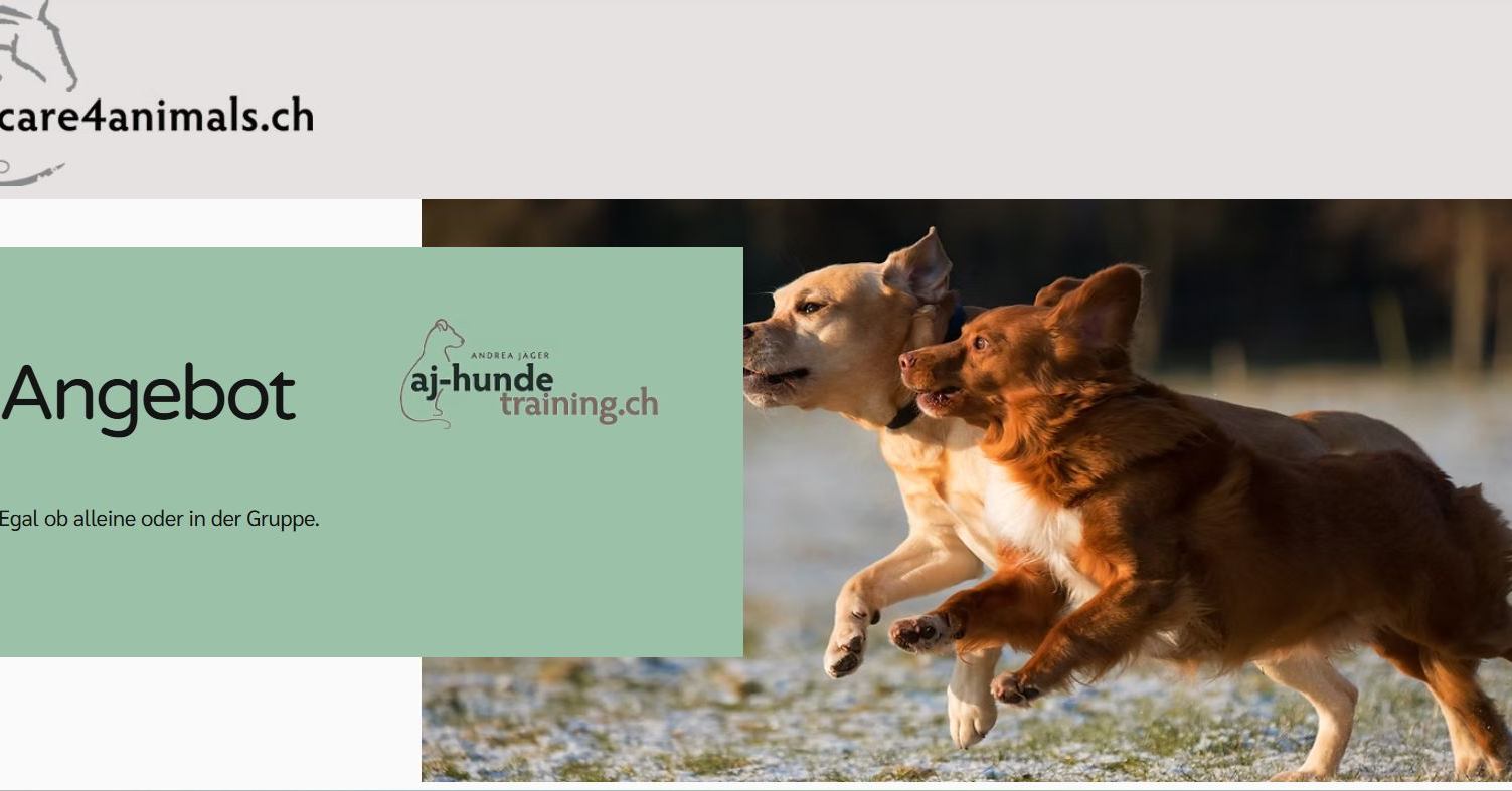 Ich stecke zur Zeit mitten in meinem Sommerprojekt. Neugestaltung der Webseite mit einem neuen Anbieter. Nun ja.. ich wusste, das gibt viel zu tun.. Aber etwas unterschätzt habe ich das Ganze definitiv. Die Erstellung der Webseite wäre ja nicht so das Problem. Aber - es sind so viele Produkte, die im Shop integriert werden müssen. Da wird die Deadline bis 4.9.25 definitiv nicht ausreichen. Es ist wie es ist. Die Frage steht auch im Raum, wie unkompliziert wird der Transfer laufen, wie schnell wird alles korrekt funktionieren usw. Wahrscheinlich gibt es eine Übergangszeit. Auf jeden Fall habt bitte etwas Geduld, wenn care4animals.ch vielleicht ein paar Tage offline sein wird. Wer irgendetwas bestellen möchte, ruft an, schreibt eine Nachricht. Was auch immer.
#care4animals #ajhundetraining #pferdehufe #geduld