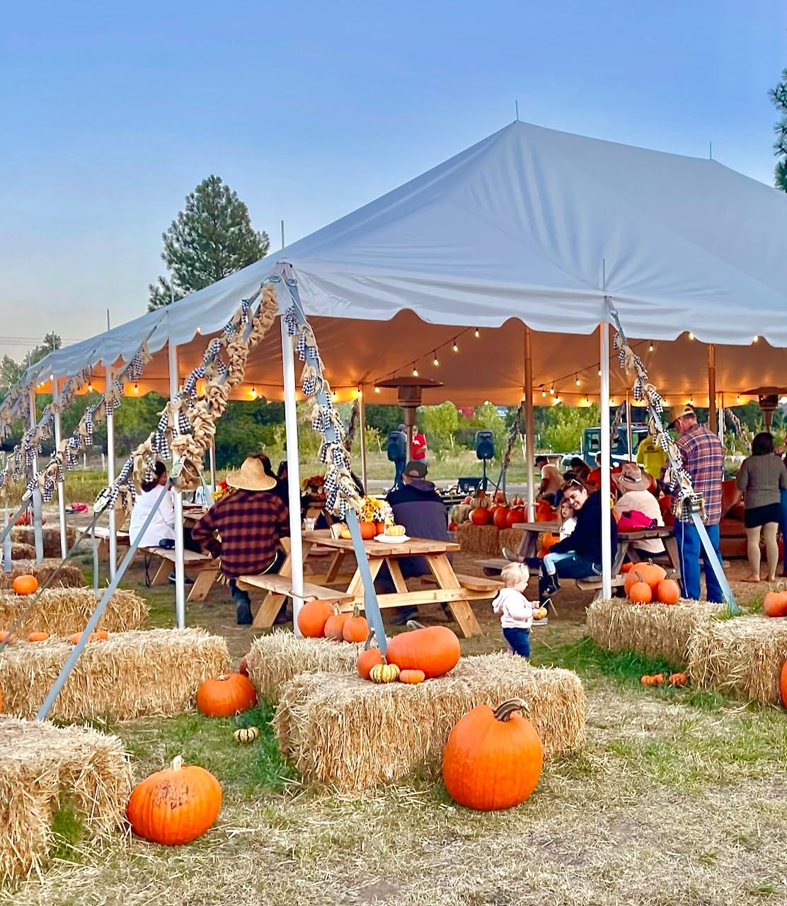 Who is coming to the 🧑🌾 September 🧑🌾 Julian Chamber Mixer?
Let us know in the comments!
All are invited to come enjoy the farm! We will have yard games, the petting zoo open, and hayrides.
- - - -
When:
- - - -
Thursday, September 4th, 5:30pm to dusk
- - - -
What to expect:
- - - -
We will have yard games, the petting zoo open, and hayrides.
- $5 admission per person
- Come mix and mingle, and build our community.
- Make and Build on Friendships, Learn Something New!
- Chamber members will receive 2 free raffle tickets
- Donate a raffle item to receive a free raffle ticket
*Please bring a raffle item donation to help showcase your
business and to support the event.
- The Chamber is proving a bar
- We will have finger foods