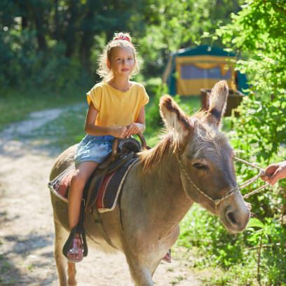 LAST DAY FOR DONKEY RIDES IS TODAY (TUE 26th)
If you have not come down and said hello to the donkeys today is the day to do it!
You will find the Donkeys in the feild next to our car park.
£4 a ride (at the descretion of the donkey owners)