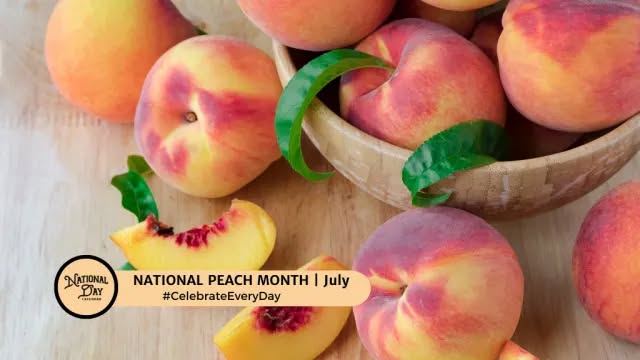 NATIONAL PEACH DAY
August 27 is National Peach Day on the National Day Calendar to celebrate one of summertime's most scrumptious fruits known as the peach! August is prime peach season in the U.S. and we want everyone to enjoy a few peaches, plus remember the hardworking peach growers who provide us with this delicious fruit.
#NATIONALPEACHDAY
Summertime brings plenty of opportunity to enjoy fresh fruits, especially a flavorful, juicy peach. Local farmers' markets and orchards are busy picking peaches to deliver to anxious peach lovers. Whether you enjoy a peach by itself or use your peaches for canning and baking, National Peach Day is here to encourage you to celebrate this wonderful food holiday.
Peaches are one of Dr. Hudson's favorite fruits.
Peaches offer several health benefits. They are low in calories and are a good source of vitamins, including vitamins A and C. They contain beta-carotene and flavonoids, which are beneficial for fighting heart disease and anti-inflammatory disease. Peaches also promote healthy skin and boost the immune system, too. In fact, peaches contain high amounts of antioxidants to help protect cells from damage caused by free radicals. Best of all, eating peaches is twice as good knowing you are promoting good overall health every time you take a bite!