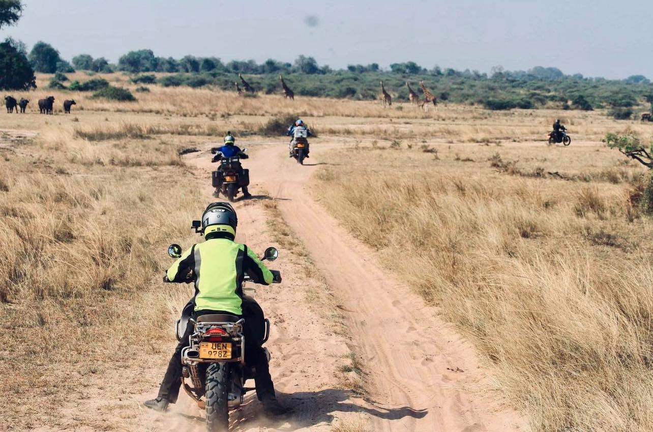 Have you ever dreamed of Riding your motorcycle through a herd of Giraffe? Or tracking a Leopard from the Saddle of your trusty T7? This isn’t just a tour it’s a raw untamed adventure through some of the best Scenery East Africa has to offer!
We still have some space available on this Novembers Pearl of Africa Uganda tour leaving Kampala on 7/11/25
More details ⬇️
www.africanmotoadventures.com/the-pearl-of-africa
#motorcycletours #giraffe #uganda #travelling #motorycle #biker #moto #outdoors #african #bikersofinstagram #motorcycles #kawasaki #yamaha #photography #travel #tours