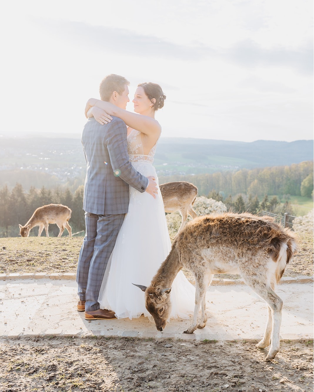 ✨ After Wedding Shooting mit Toskana-Vibes – auf der Burg Staufeneck! ✨
Ein Hochzeitstag ist oft voller Programmpunkte – für Meli & Tom war das After Wedding Shooting auf Burg Staufeneck die perfekte Ergänzung. 🤍
Frühlingslicht, viel Zeit, kein Stress – so konnten wir die Burganlage in Ruhe nutzen, ein Highlight im Wildgehege mit dem Dammwild erleben (Insider-Tipp: ein bisschen Brot wirkt Wunder 😉) und ganz besondere Fotos festhalten.
Genau so entstehen Bilder, die echt sind und nicht zwischen Empfang und Abendessen gequetscht werden müssen. ✨
Seid ihr auch Team After Wedding? Oder findet ihr Hochzeitsfotos sollten auch am Hochzeitstag gemacht werden?
Ich persönlich bin da ja Träumer - und liebe die Kombi aus beidem 🥰
Ich persönlich liebe die Kombi aus beidem 🥰
📩 Wenn ihr Lust habt, eure Geschichte genauso festzuhalten, schreibt mir – ich freue mich, euch kennenzulernen! 🫶