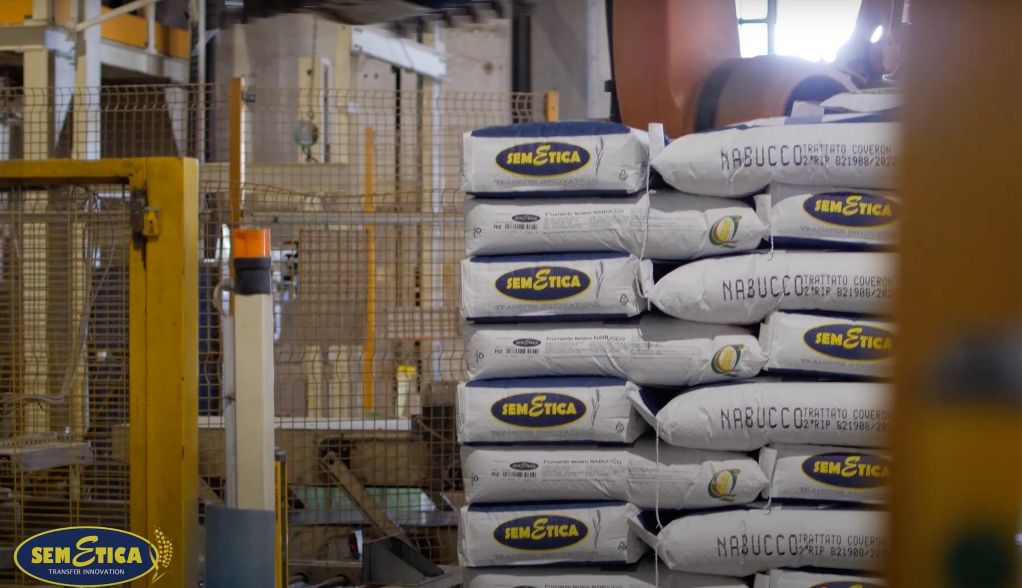 🌱 In SEMETICA la qualità viene prima di tutto.
Ogni varietà è selezionata con rigore: solo i semi che superano analisi approfondite arrivano alla fase di produzione e confezionamento.
🔍 Solo l’eccellenza trova posto nel nostro catalogo.
👉 Scopri tutte le varietà:
📲 Scopri di più su www.semetica.it
CATALOGO 2025 👉 https://lc.cx/os7kBN
Affidati a SEMETICA per sementi di affidabilità e innovazione.
#SEMETICA #EccellenzaSementiera #QualitàGarantita #InnovazioneAgricola #CatalogoSementi #DalCampoAllaConfezione