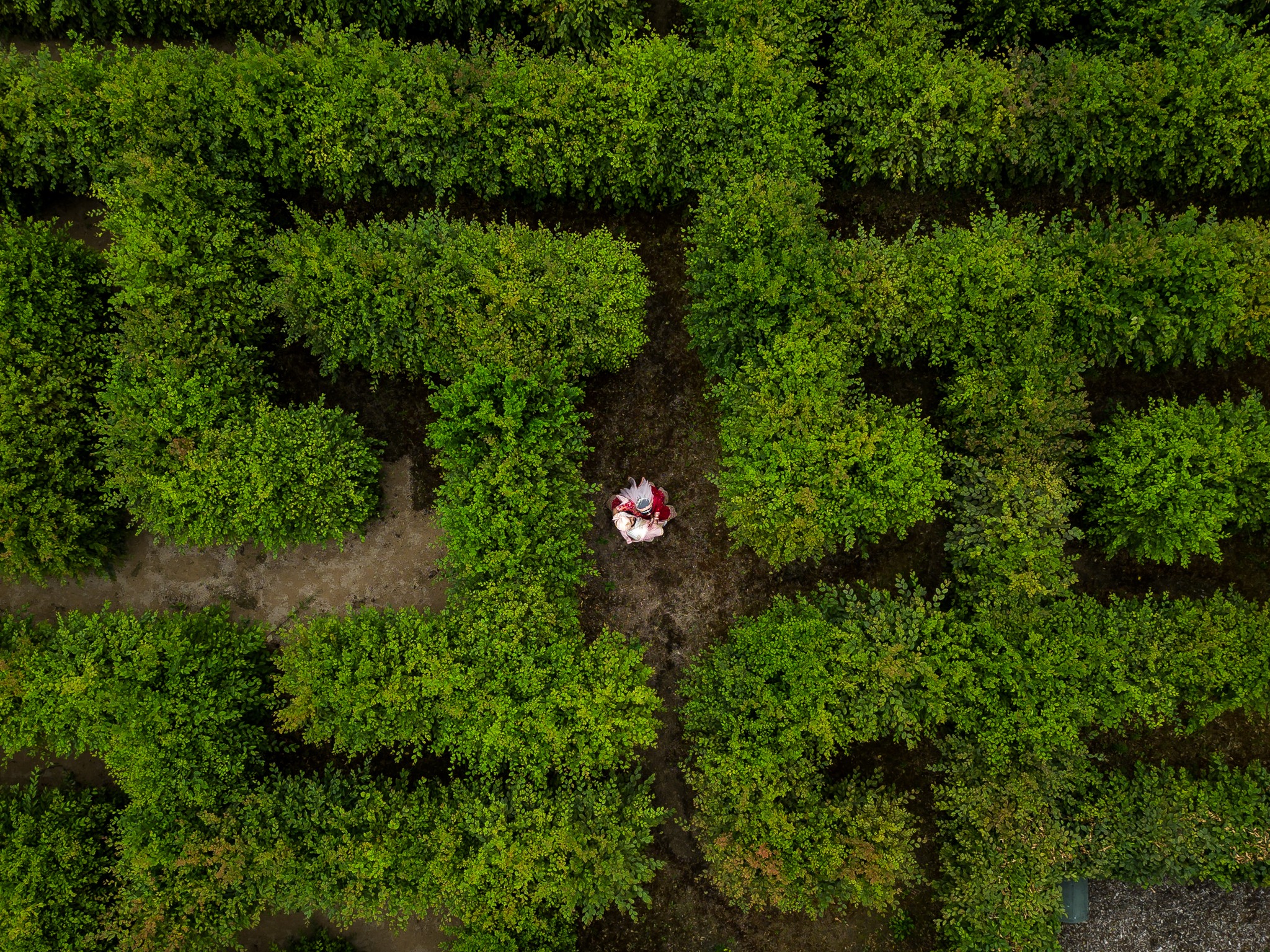 Two souls, one path, surrounded by timeless beauty 🫶
Photo credit @dinojeram
.
#dittonmanor #luxurywedding #mazeoflove #gardenwedding #outdoorwedding #dreamwedding #exclusiveusevenue #weddingvenue #wedding #ukweddings #englishweddingvenue #weddinginspo #weddingphotography #weddingdaydreams #romanticwedding #ido #sayido #shesaidyes #gettingmarried #ukbride #castlewedding #luxuryvenue #historicvenue #weddinggoals